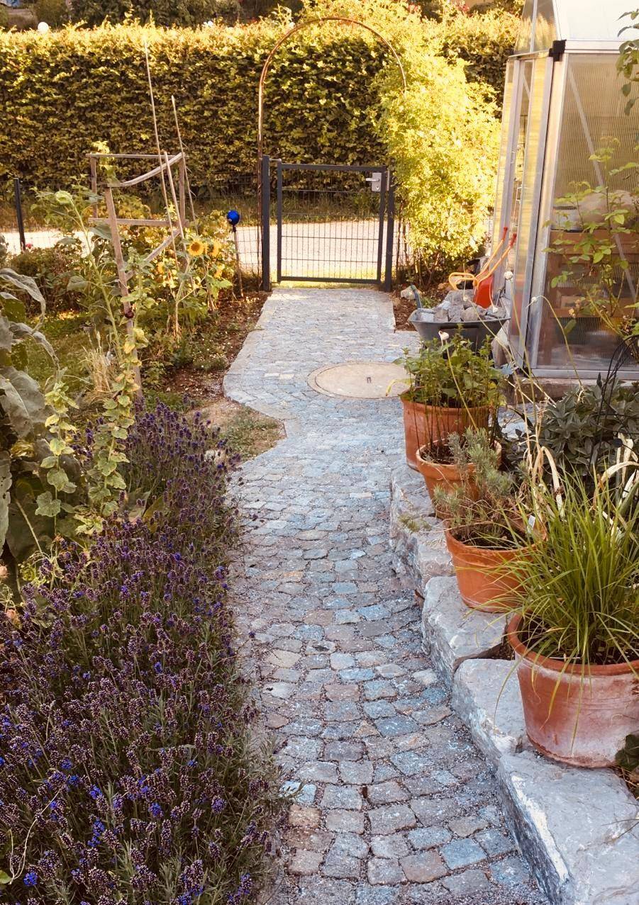 Gepflasterter Gartenweg mit blühendem Lavendel und Topfpflanzen, der zu einem Gewächshaus führt.