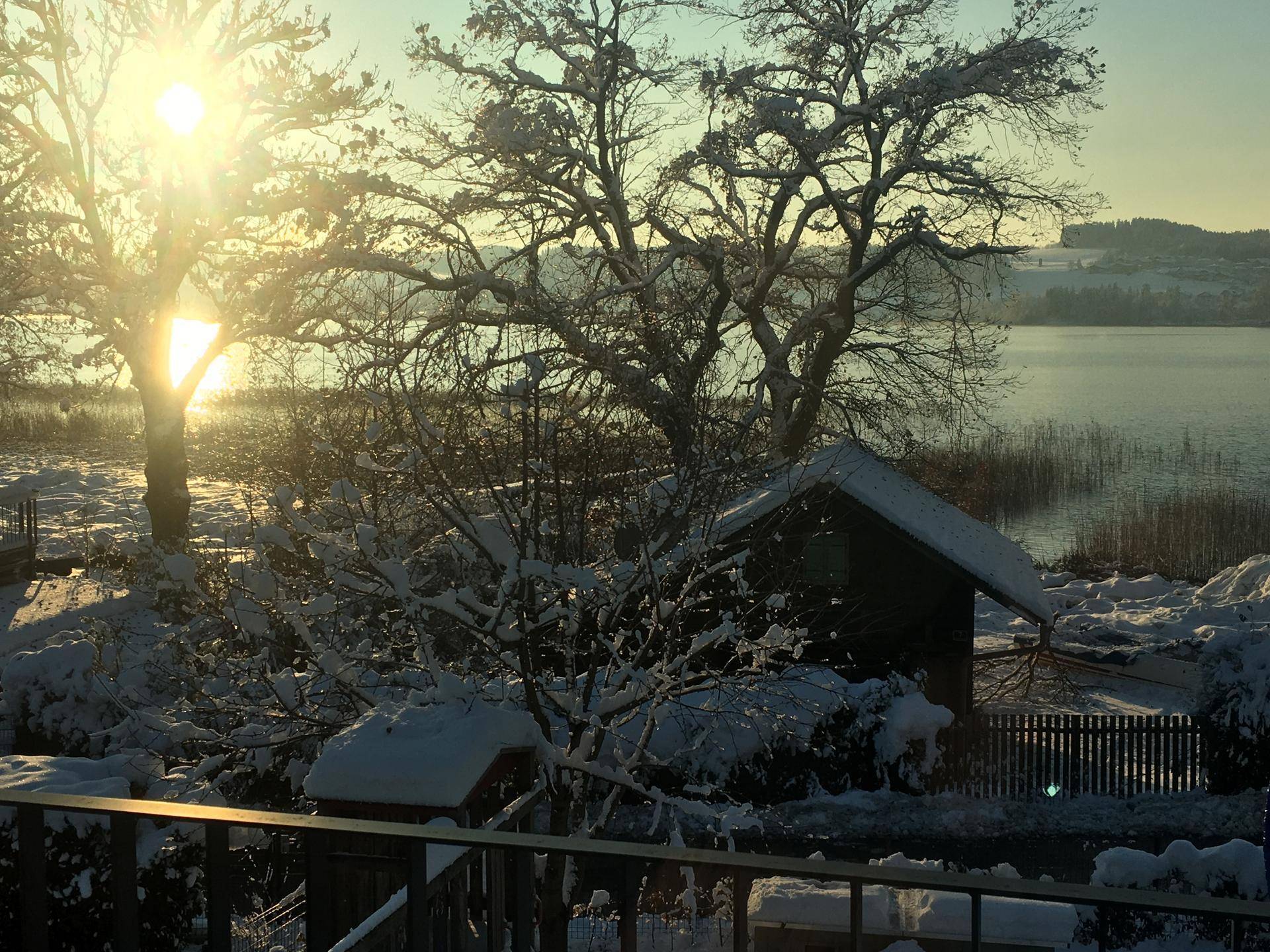 Winterlicher Sonnenaufgang über dem See mit schneebedeckten Bäumen und glitzerndem Wasser.