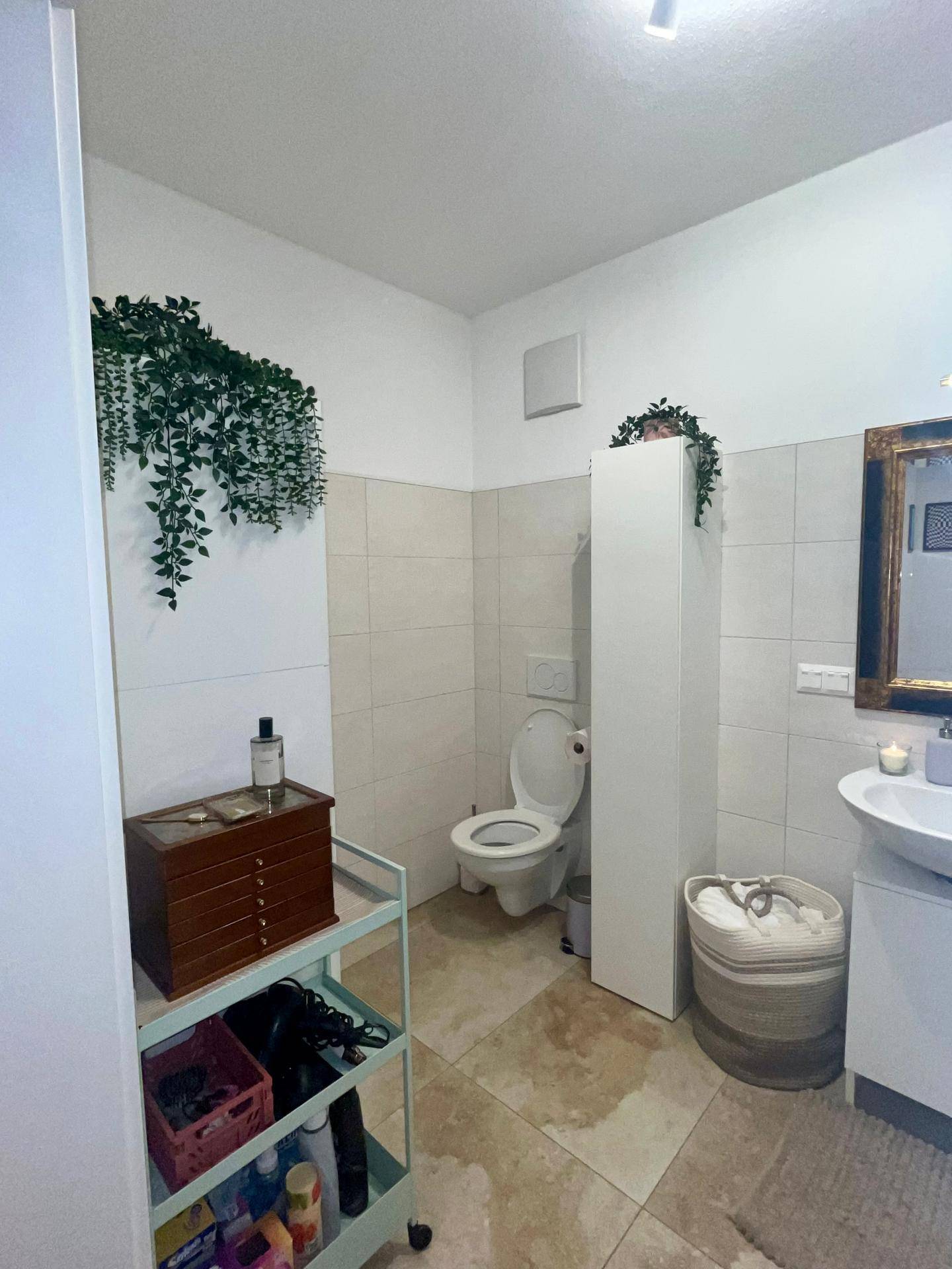 Helles Badezimmer mit Toilette, Waschbecken und dekorativen Pflanzen für eine frische Atmosphäre.