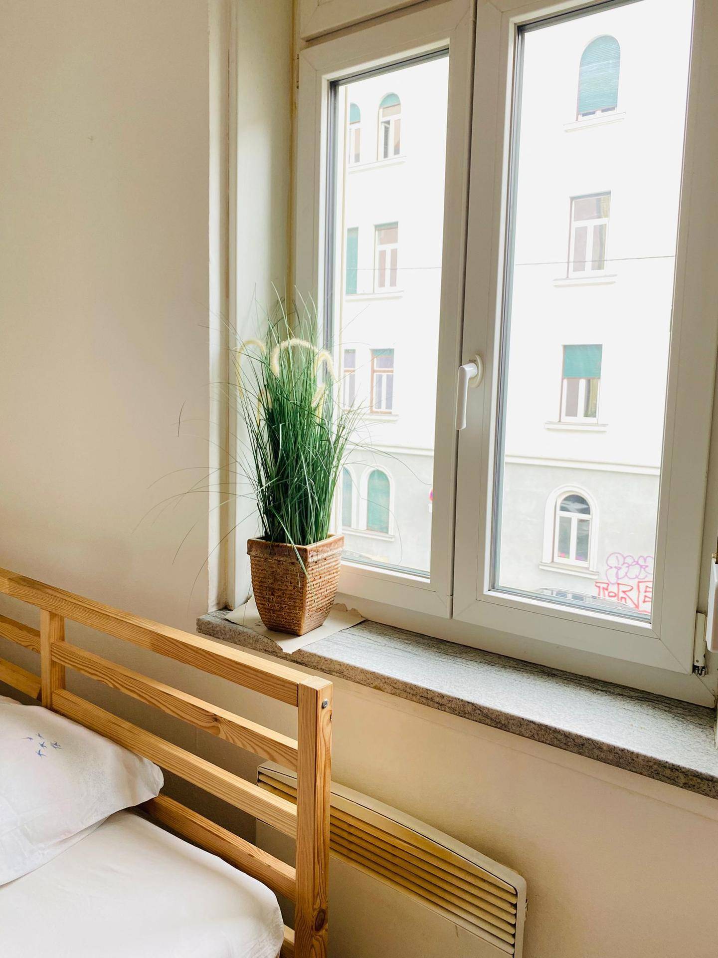 Fenster im Schlafzimmer mit Blick auf die umliegenden Gebäude und eine Pflanze auf der Fensterbank.