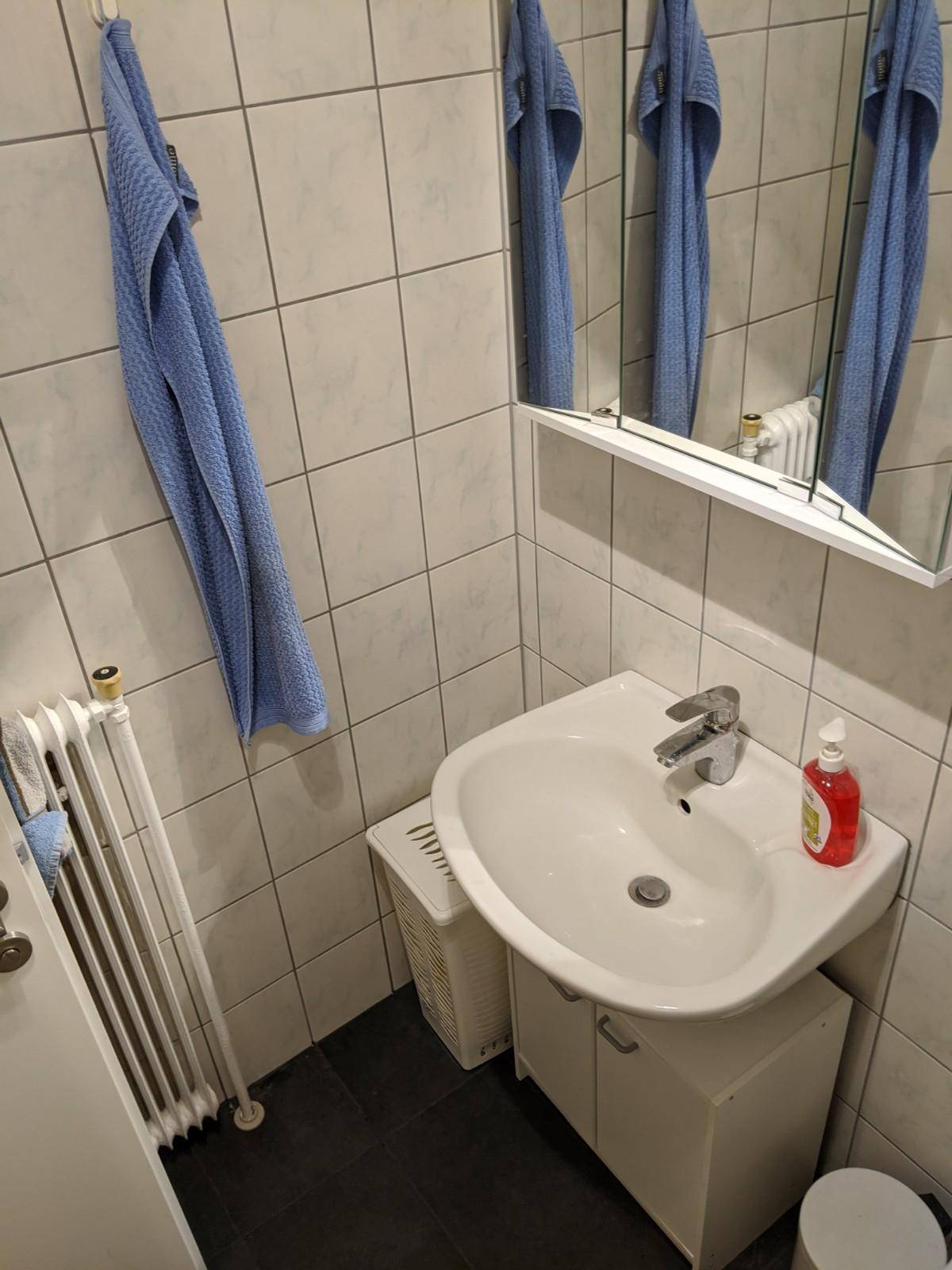 Badezimmer mit Waschbecken, Spiegelschrank und Heizkörper, hell gefliest.