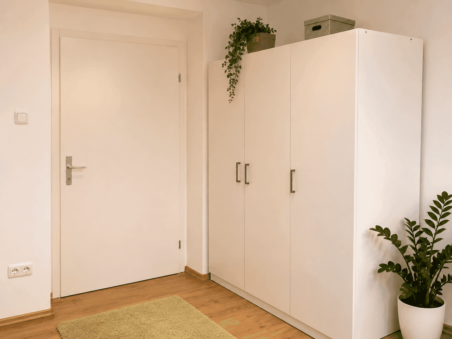 Weißer Kleiderschrank im Zimmer oder Flur mit schlichter Tür und Topfpflanze.