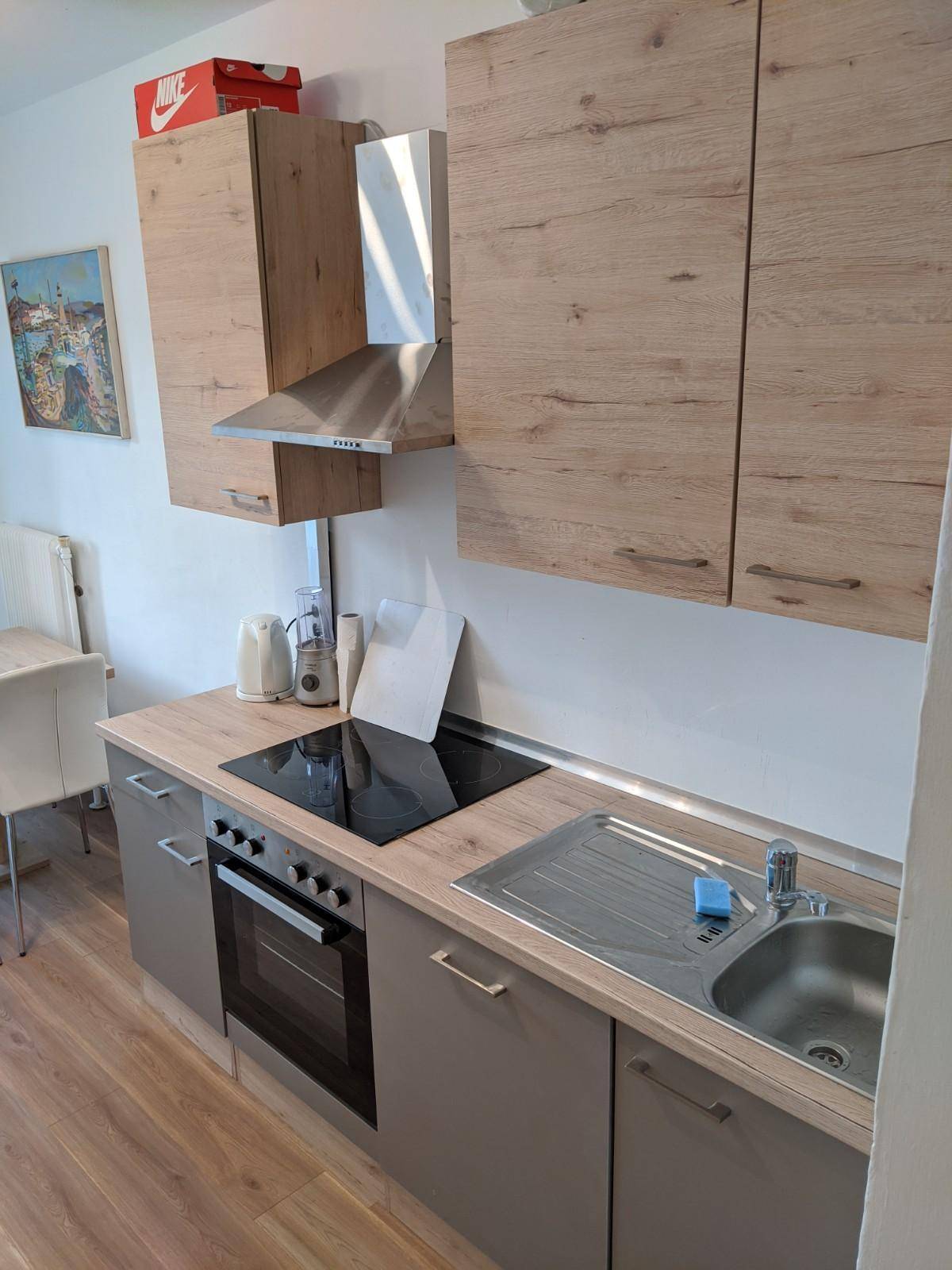 Detailansicht der modernen Küche mit Spüle, Induktionskochfeld und Backofen.
