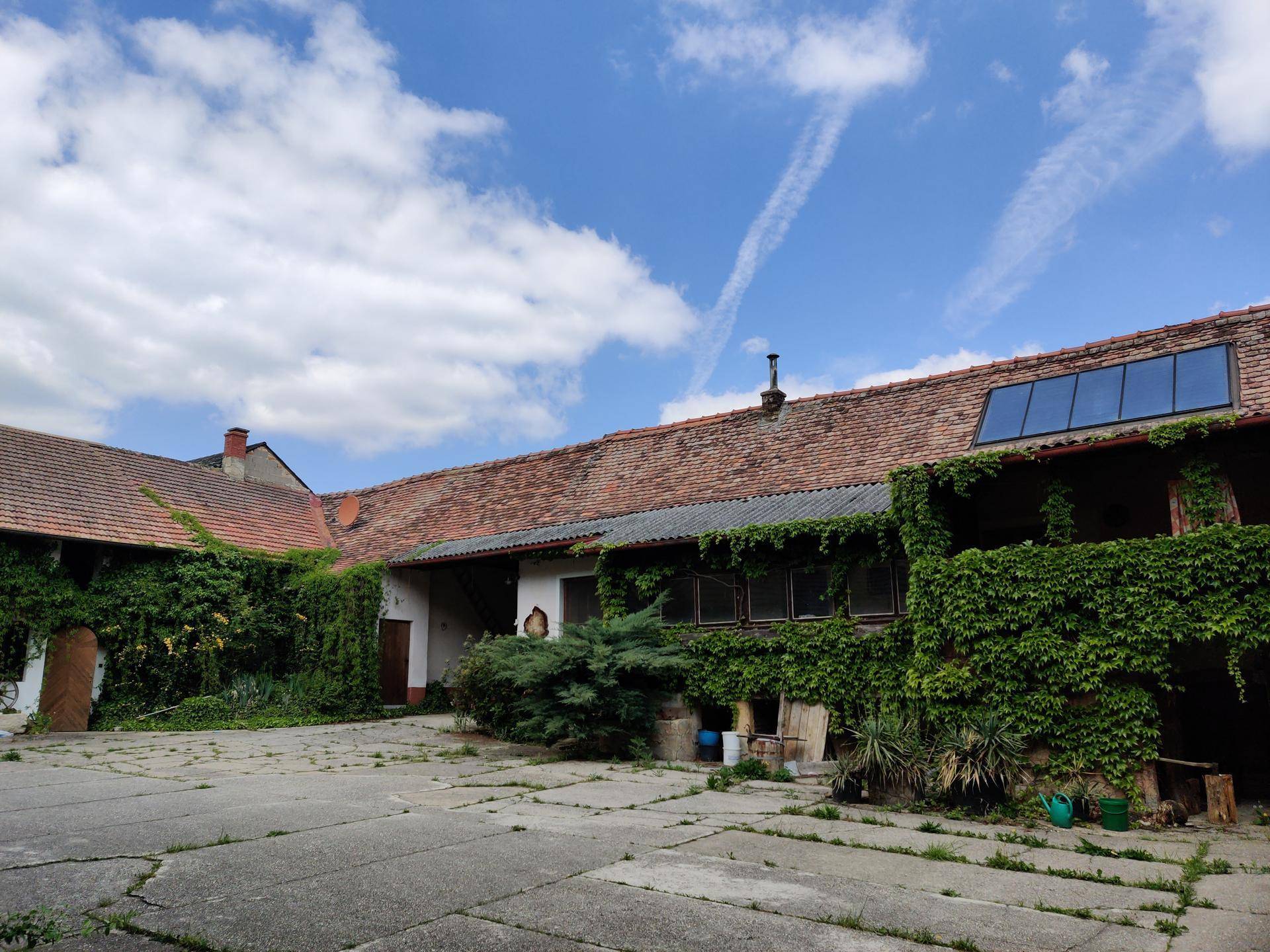 Weiterer Blick auf den Innenhof mit bewachsenen Gebäuden und einem Dachfenster mit Solarpaneelen.