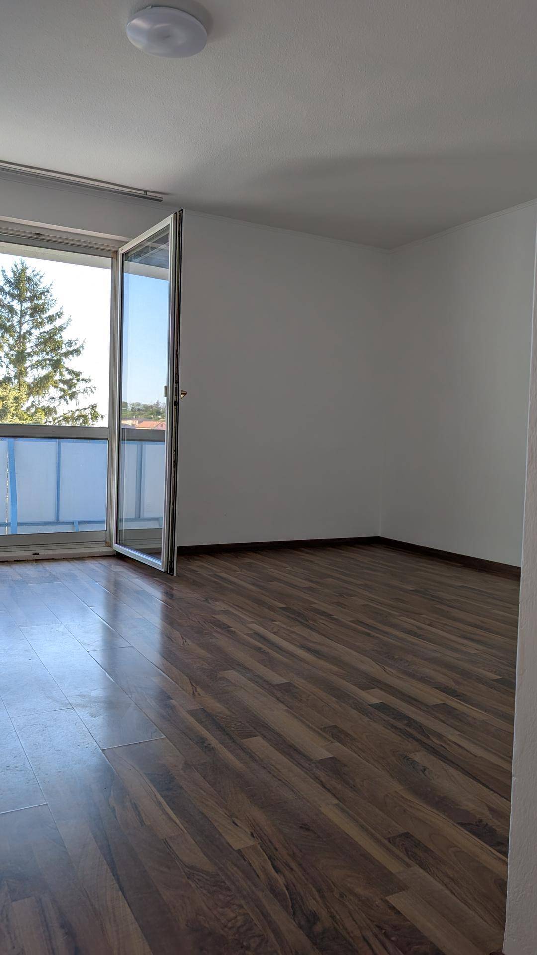 Leeres Zimmer mit dunklem Laminatboden und großem Fenster mit Balkonzugang.