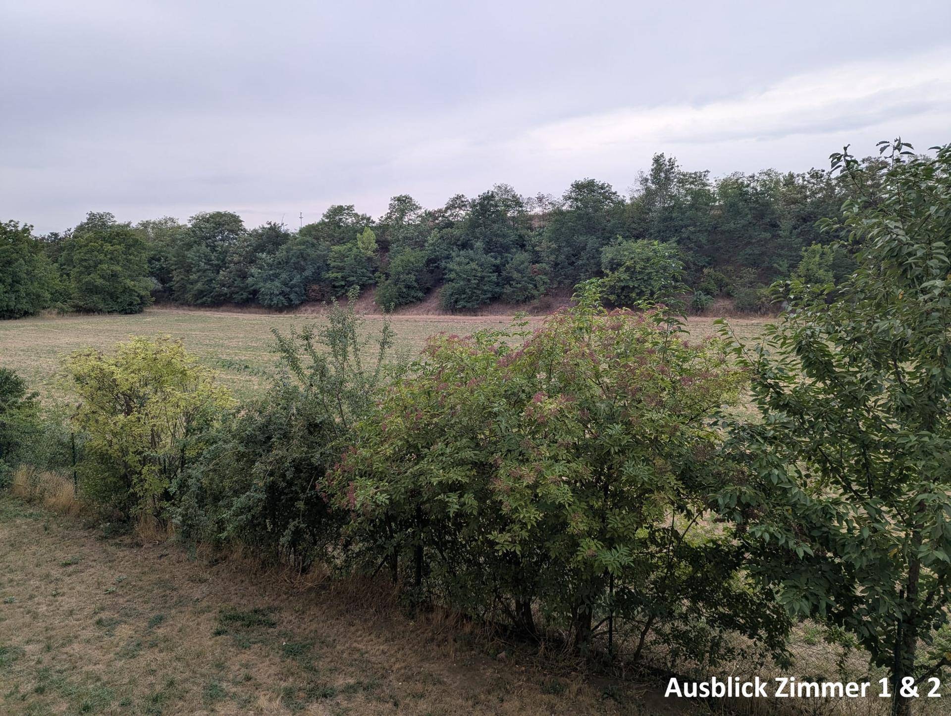 Weitläufiger Blick ins Grüne mit Feldern und bewaldeten Hügeln unter bewölktem Himmel.
