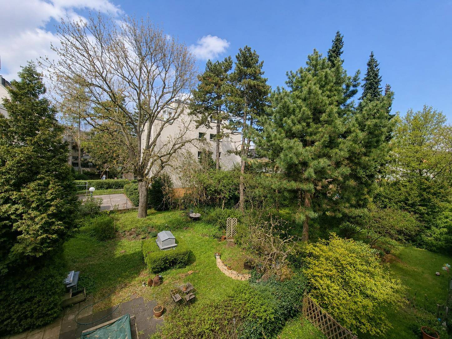 Großer Gemeinschaftsgarten mit altem Baumbestand und viel Grünfläche.
