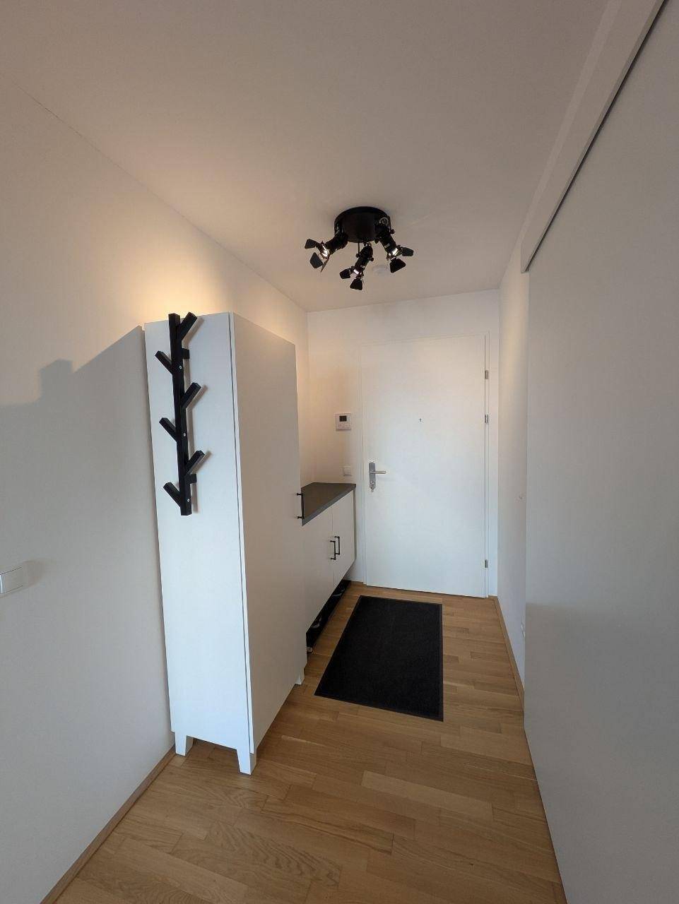 Heller Flur mit Garderobe, Schrank und Holzfußboden.