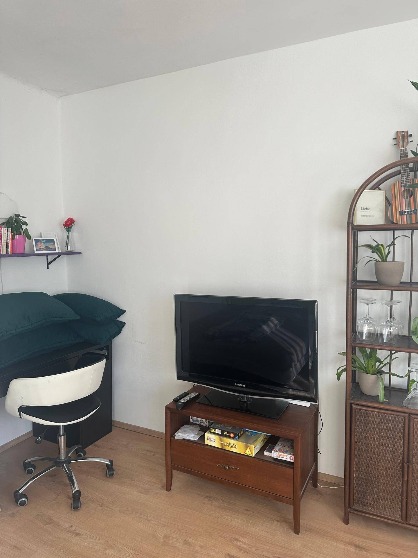 Gemütlicher Wohnbereich mit Fernseher, Schreibtisch und Pflanzenregal.