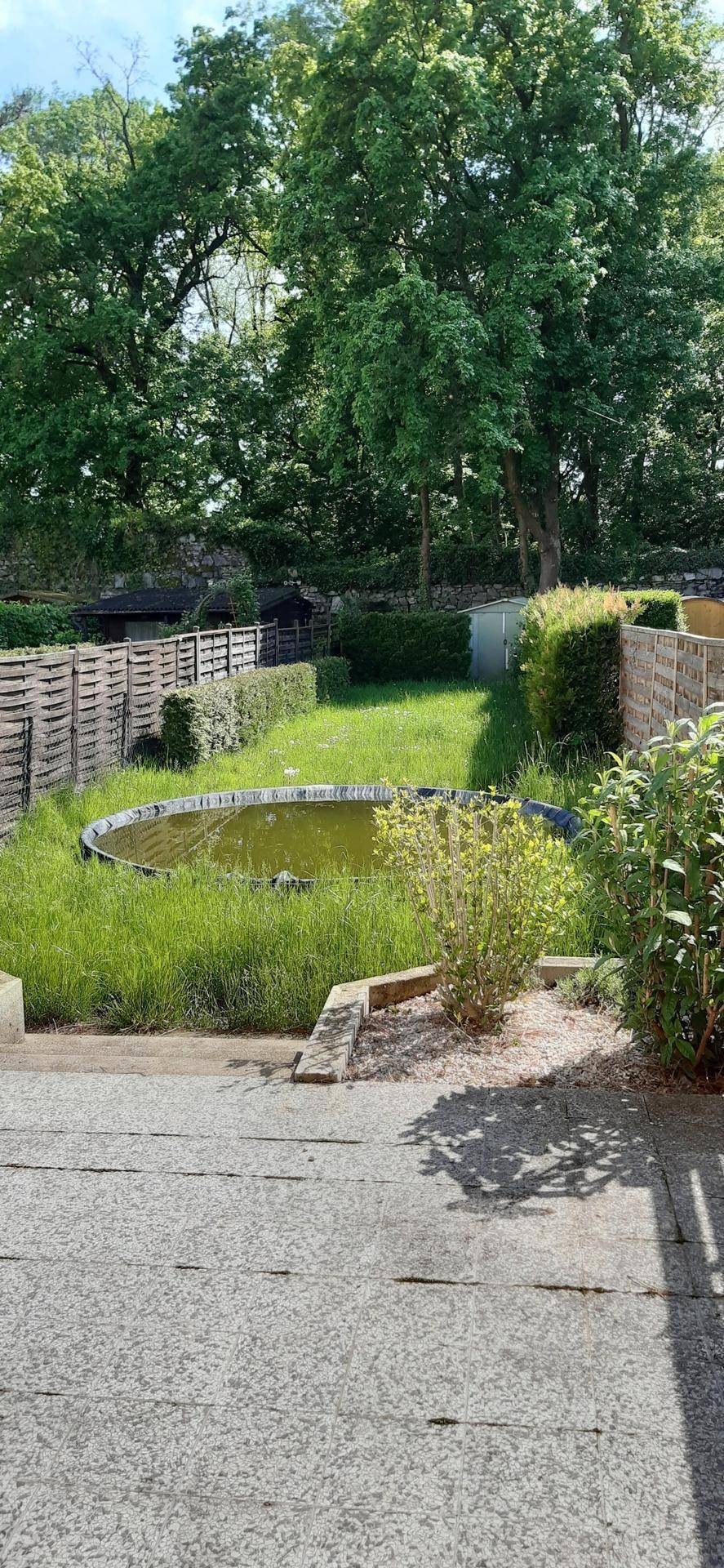 Grüner Gartenbereich mit kleinem Aufstellpool, Rasenfläche und hohen Bäumen.