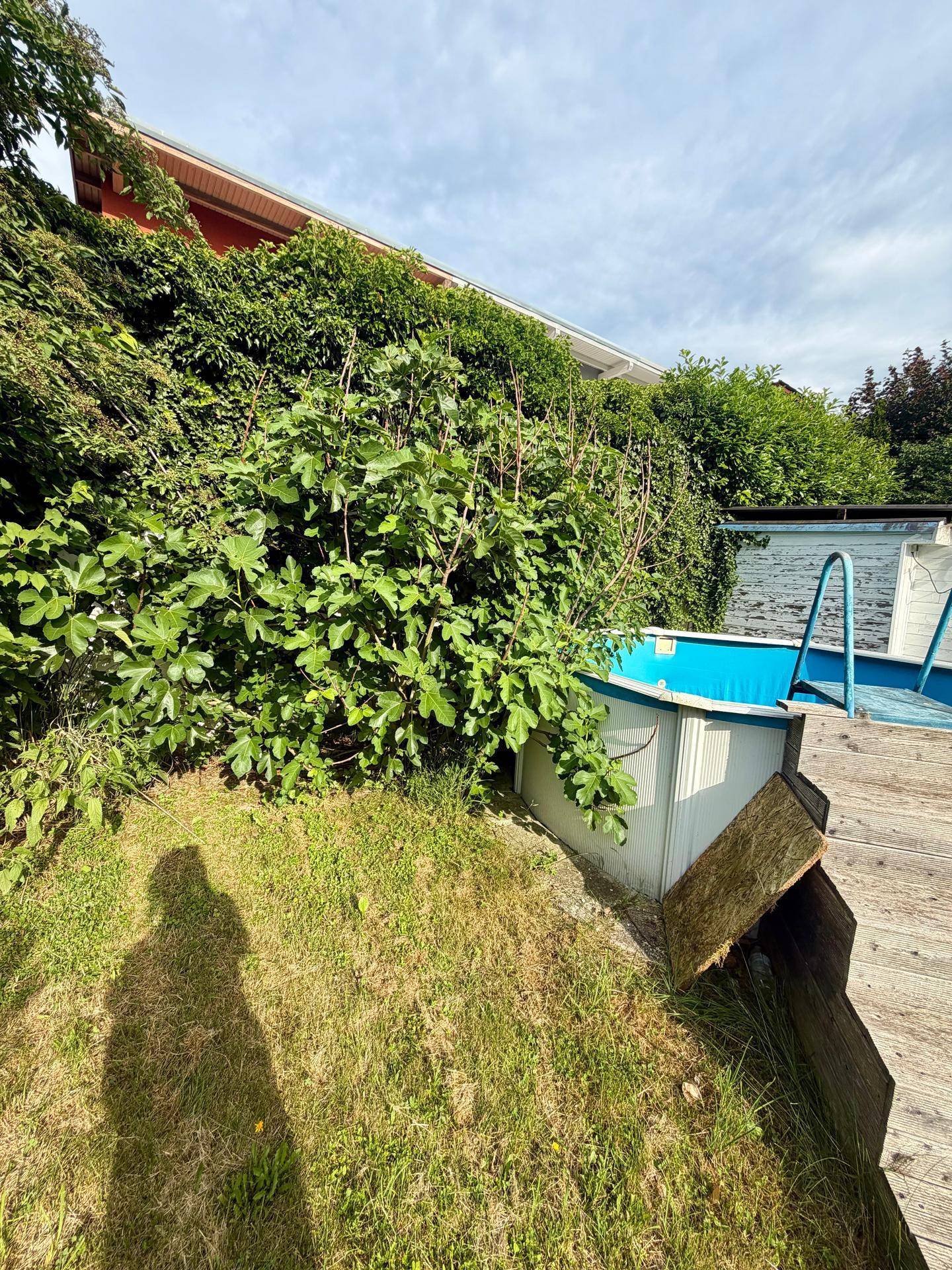 Aufstellpool mit Holzdeck, umgeben von dichter Vegetation und einem Haus am Hang im Hintergrund.