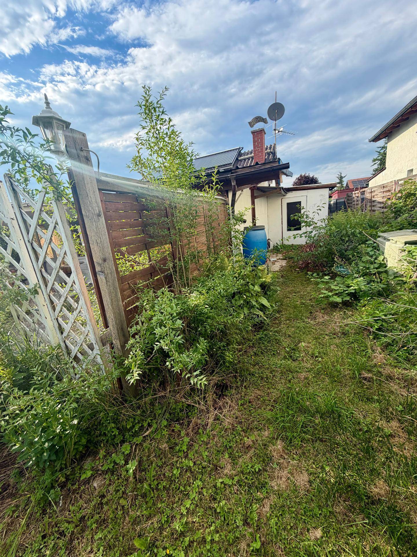 Verwunschener Gartenweg durch üppiges Grün, begrenzt von einem Holzzaun und einem kleinen Gebäude im Hintergrund.