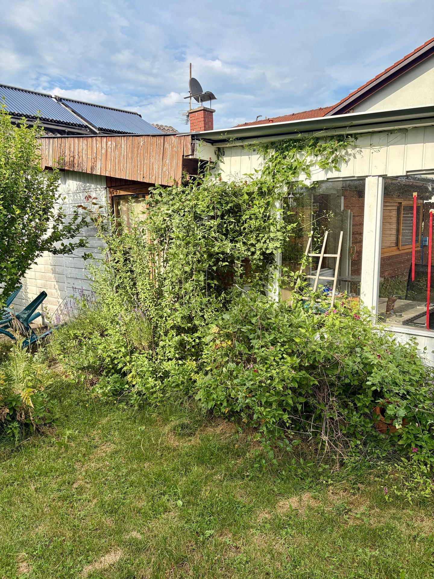 Verglaster Anbau oder Wintergarten, dicht bewachsen mit Kletterpflanzen, daneben ein Dach mit Solarpaneelen.