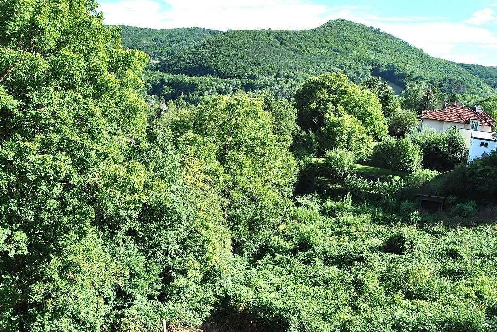 Panoramablick auf die üppige grüne Landschaft mit bewaldeten Hügeln und vereinzelten Häusern.