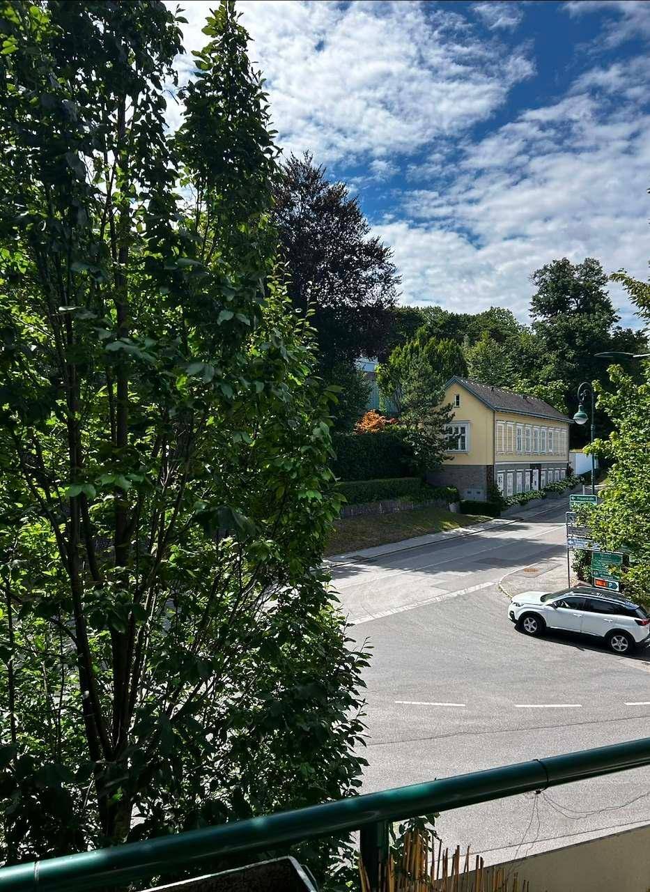 Blick von einem Balkon auf eine ruhige Straße mit Bäumen und einem charmanten Gebäude.