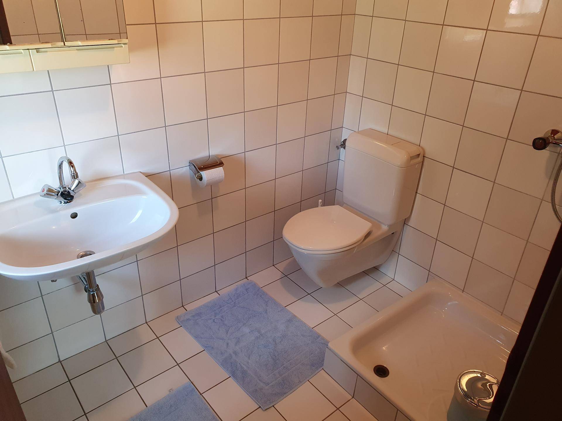Kleines Badezimmer mit WC, Waschbecken und weißen Fliesen, funktional eingerichtet.