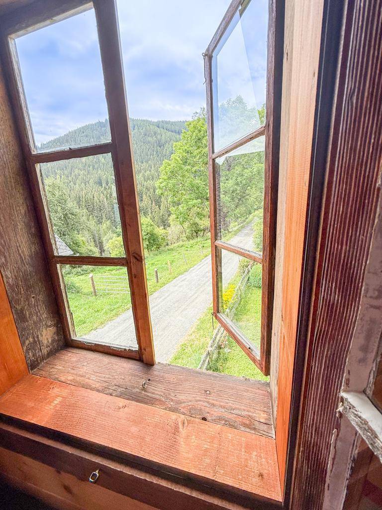 Blick aus dem Fenster auf die grüne Landschaft und einen Feldweg, umgeben von Bäumen und Hügeln.