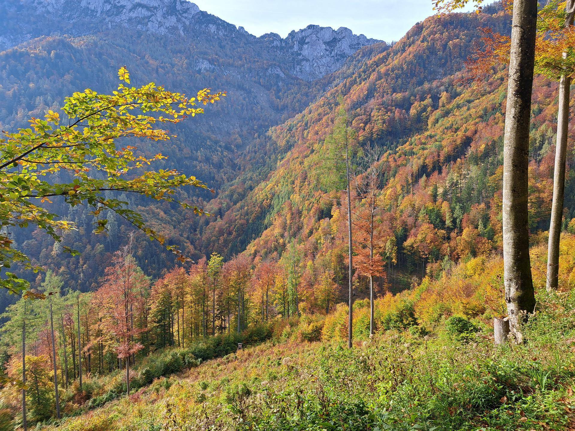 Herbstliche Berglandschaft mit leuchtenden Farben der Bäume in Rot, Orange und Gelb unter blauem Himmel.