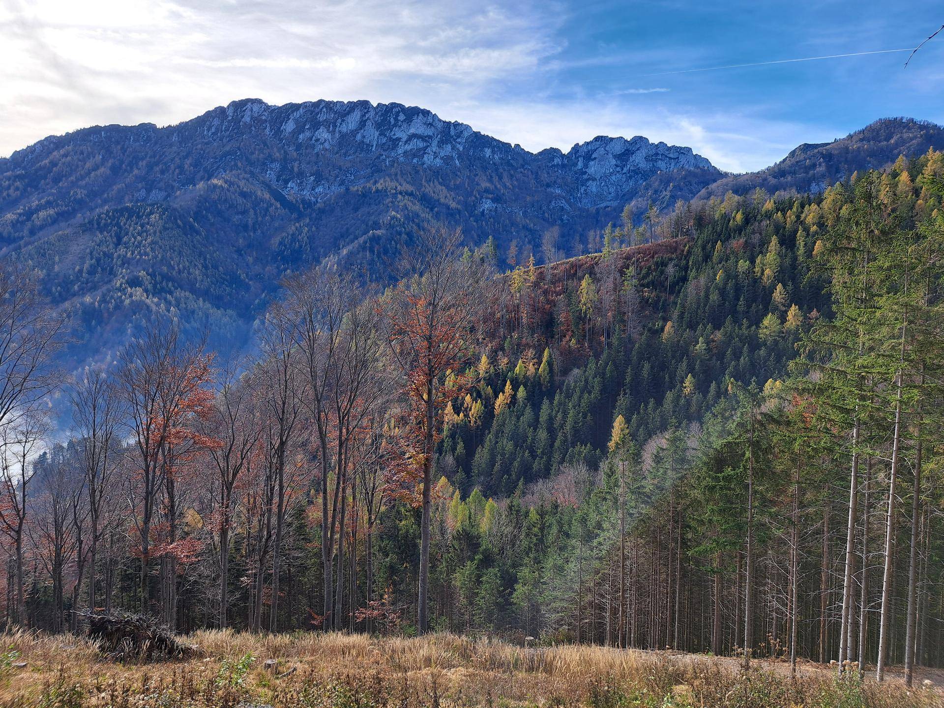 Berglandschaft im Spätherbst mit kahlen Bäumen, einigen bunten Blättern und schneebedeckten Gipfeln in der Ferne.