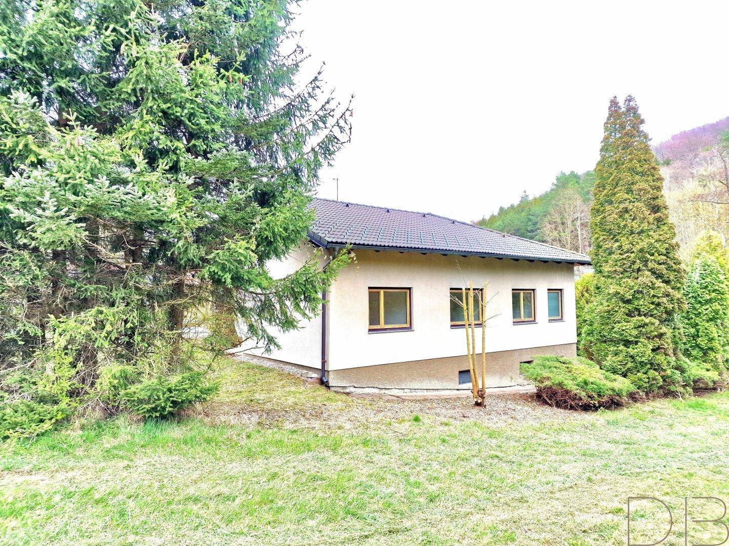 Seitenansicht des Hauses mit gepflegtem Garten und hohen Bäumen im Hintergrund.