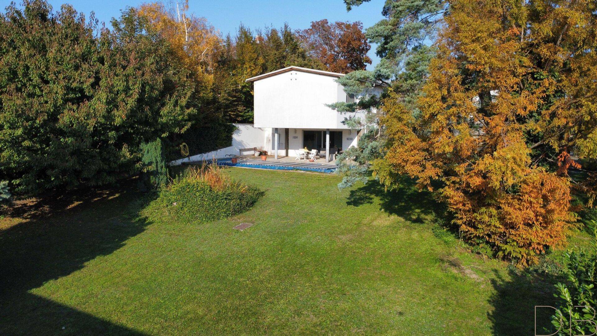 Weitläufiger Garten mit altem Baumbestand und Blick auf das Haus mit Poolbereich.