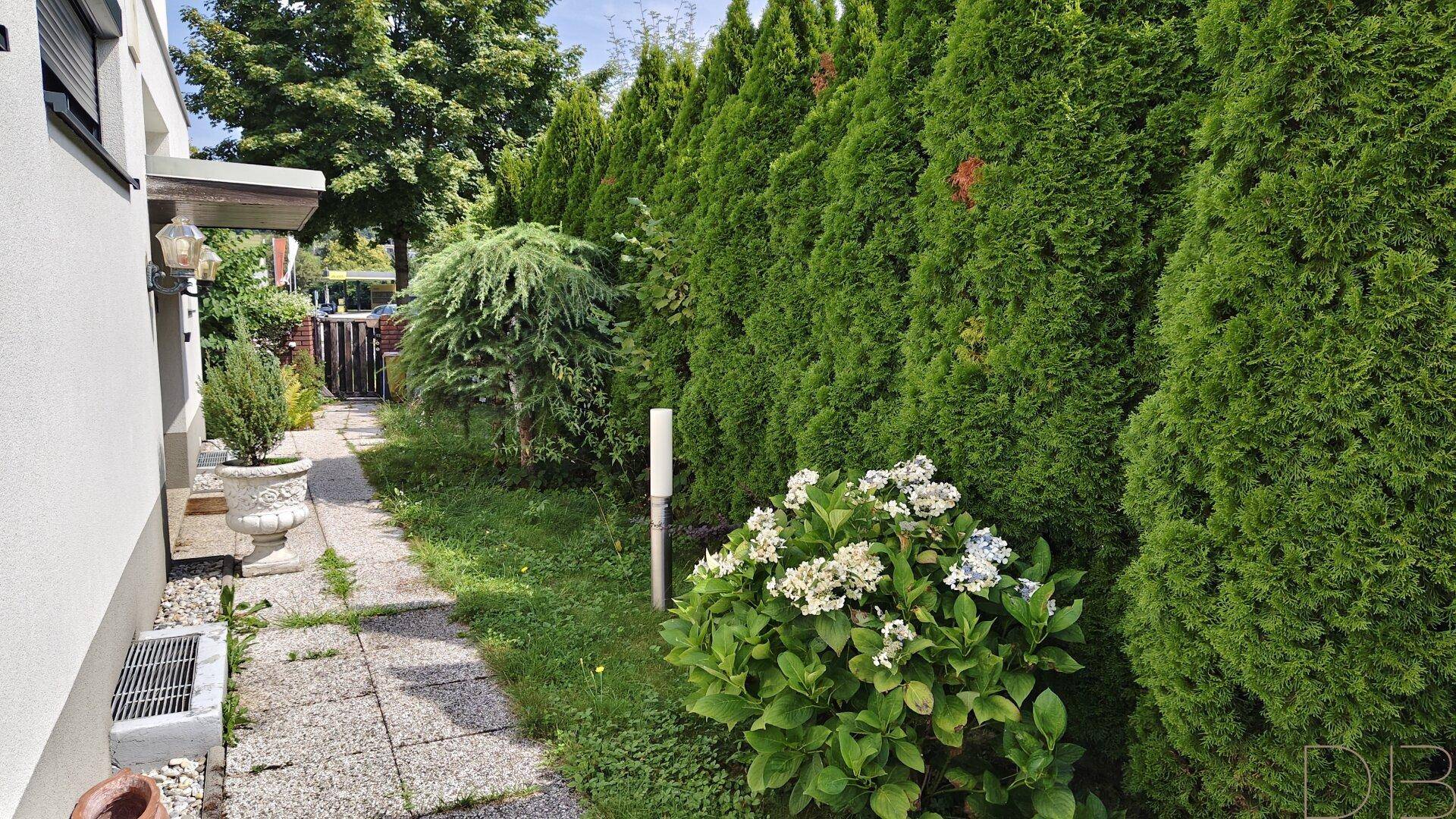 Grünstreifen