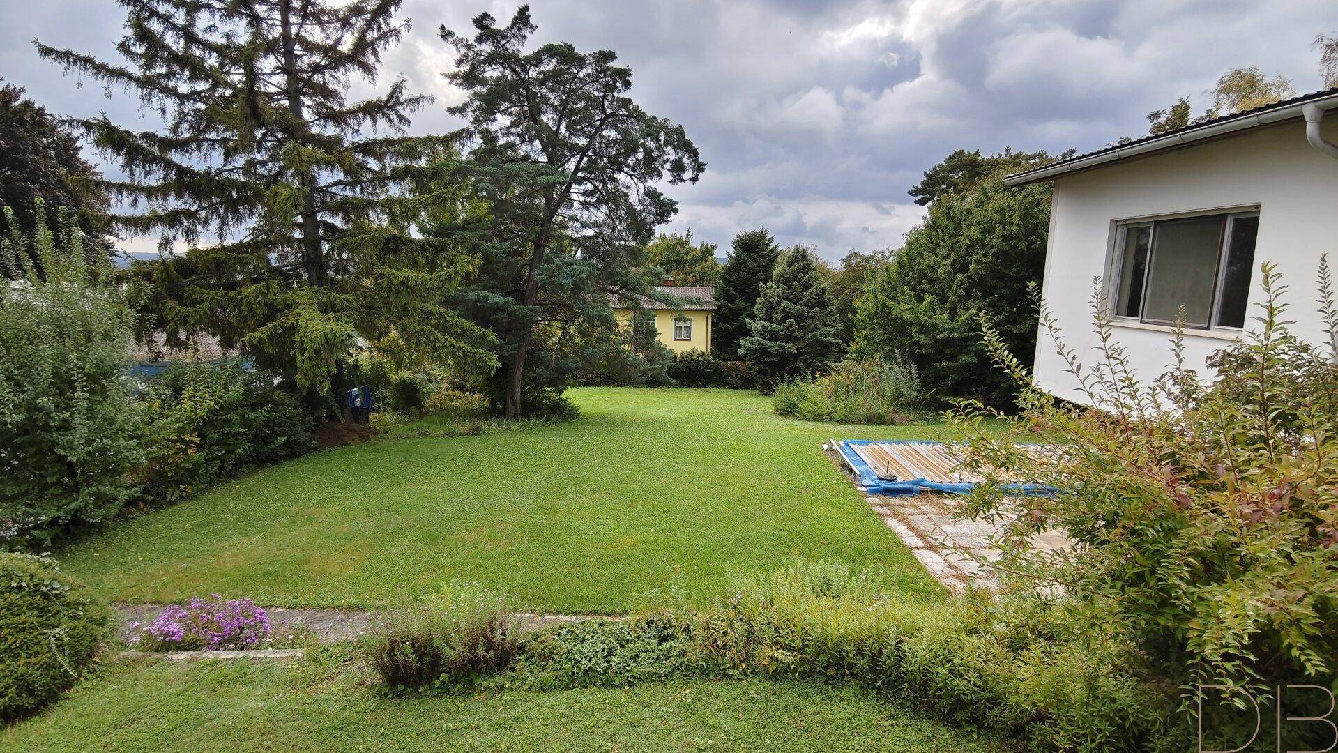 Blick vom Haus in den weitläufigen Garten mit Rasenfläche und altem Baumbestand.