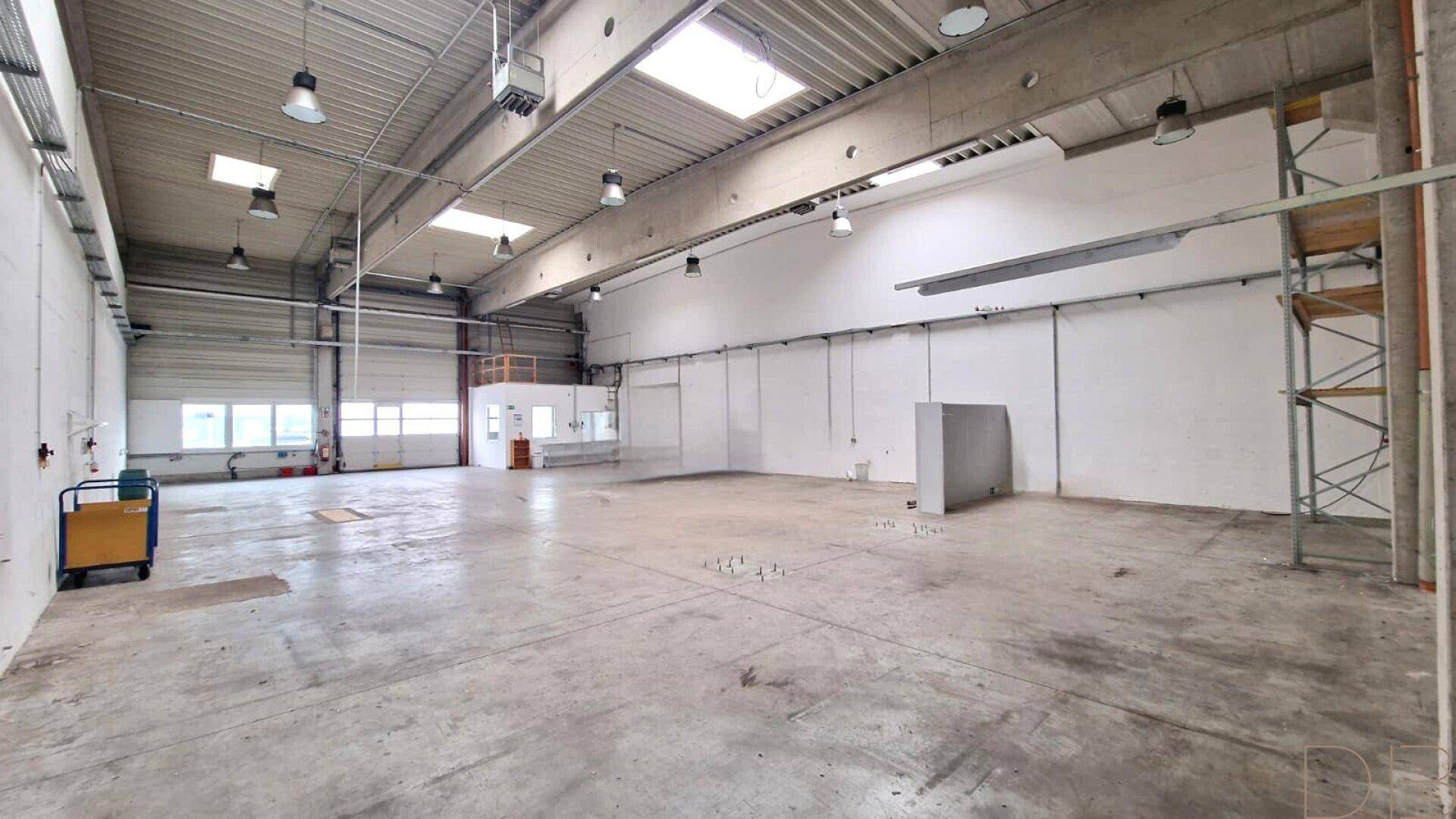 Weitläufige, leere Lagerhalle mit Betonboden, Oberlichtern und einem Rolltor im Hintergrund.
