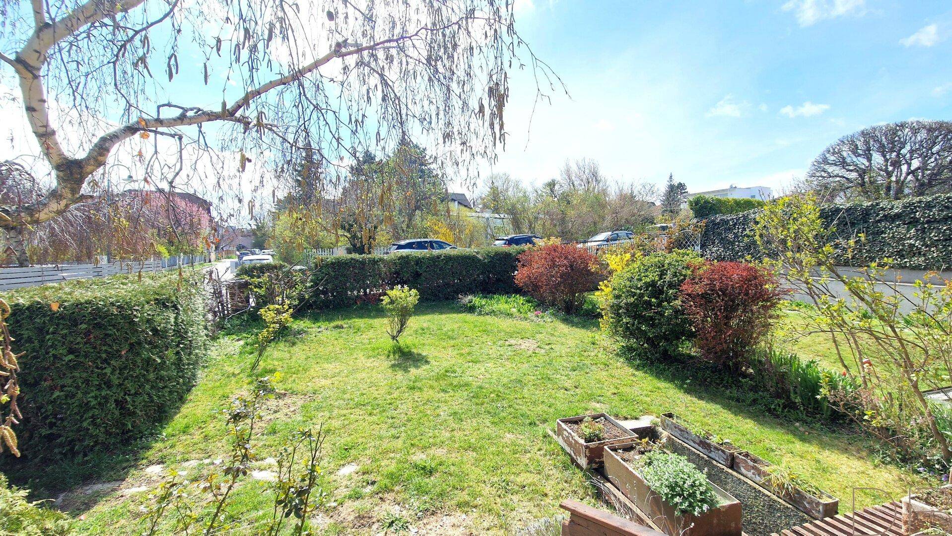 Gepflegter Gartenbereich mit Rasenfläche, Hecken und verschiedenen Bäumen.