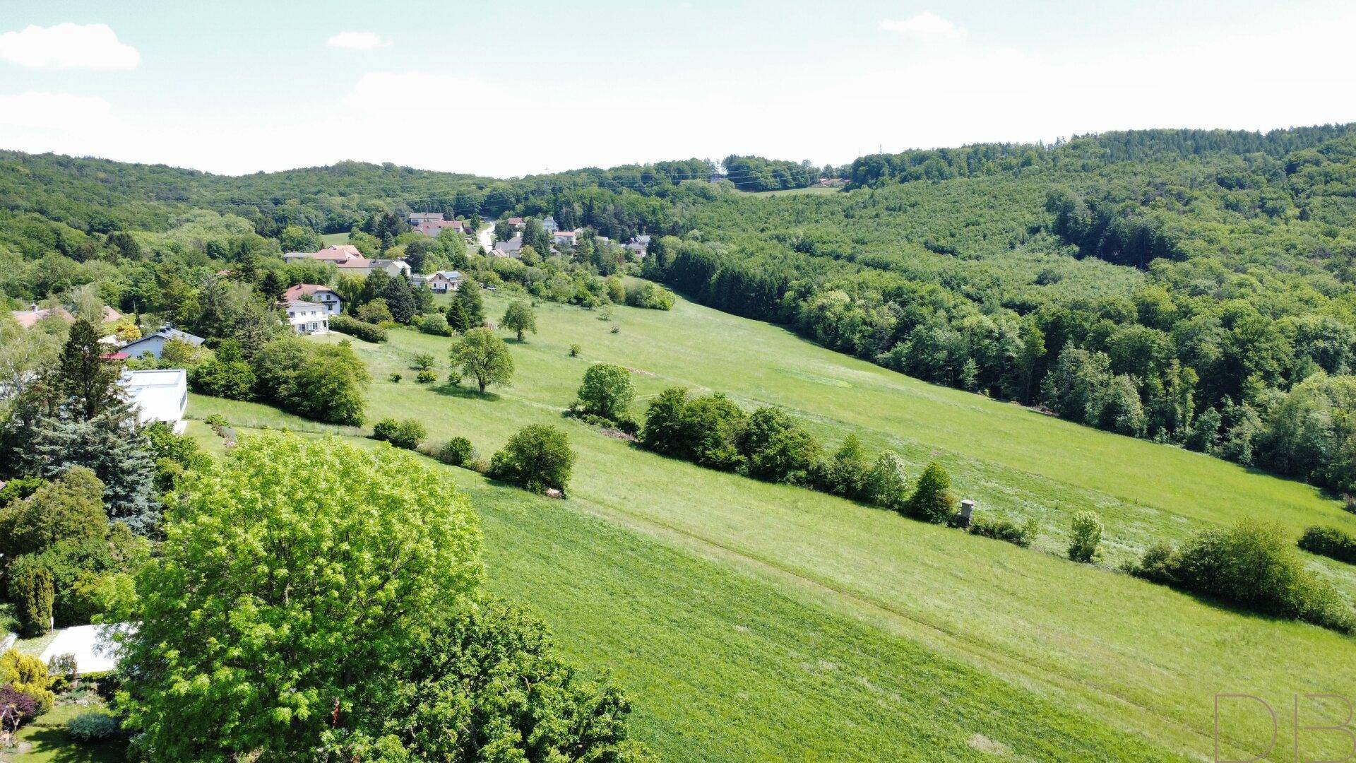 Weitläufige grüne Landschaft mit sanften Hügeln, Wäldern und vereinzelten Häusern in der Ferne.