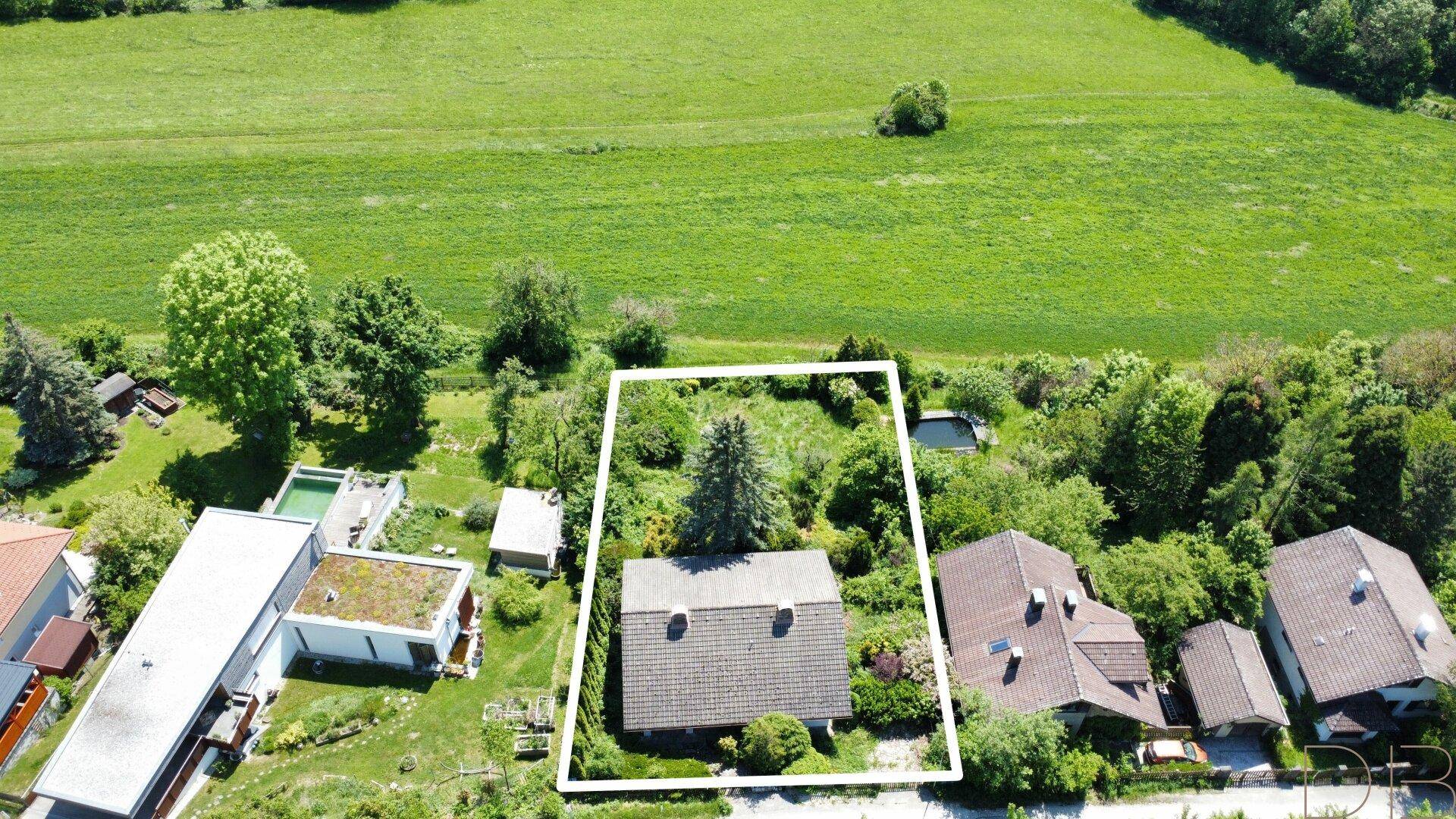 Übersicht des Grundstücks aus der Vogelperspektive mit Einfamilienhaus, großem Baum und angrenzenden Feldern.