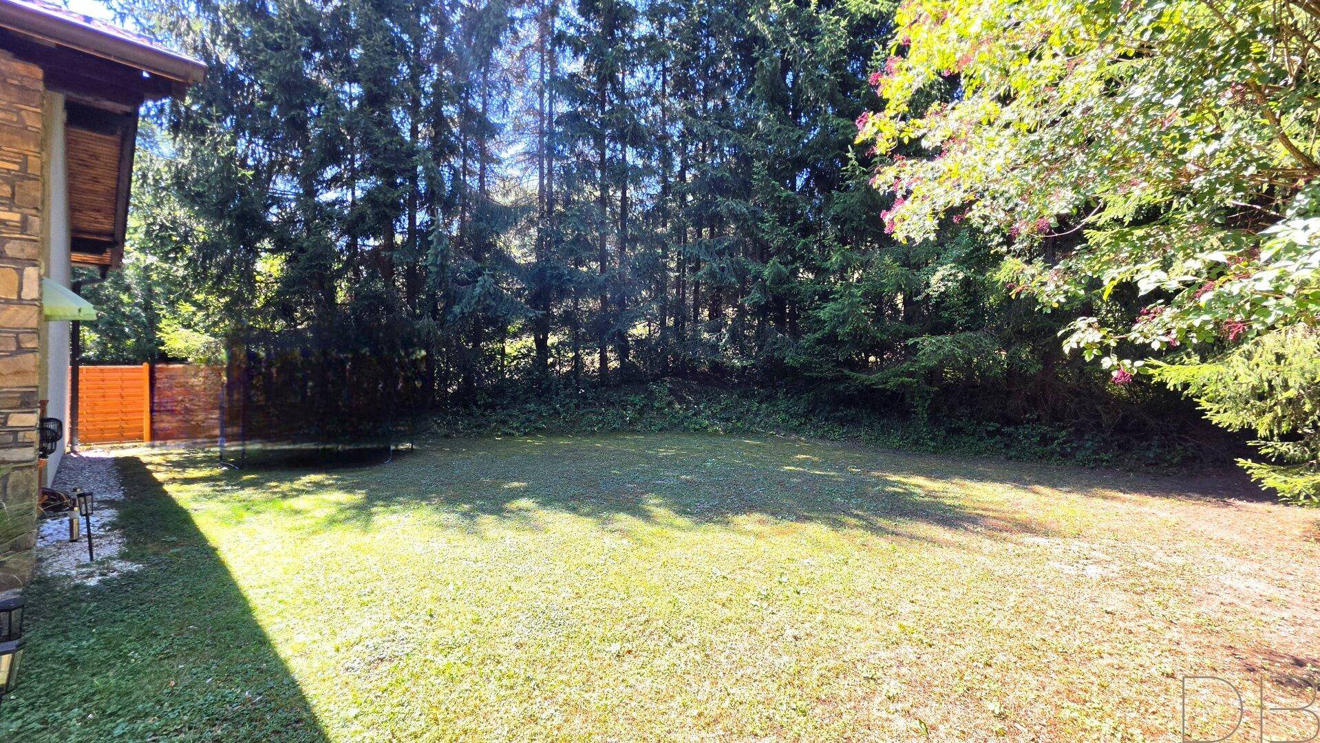 Großer Gartenbereich mit gepflegtem Rasen und hohen Bäumen im Hintergrund.