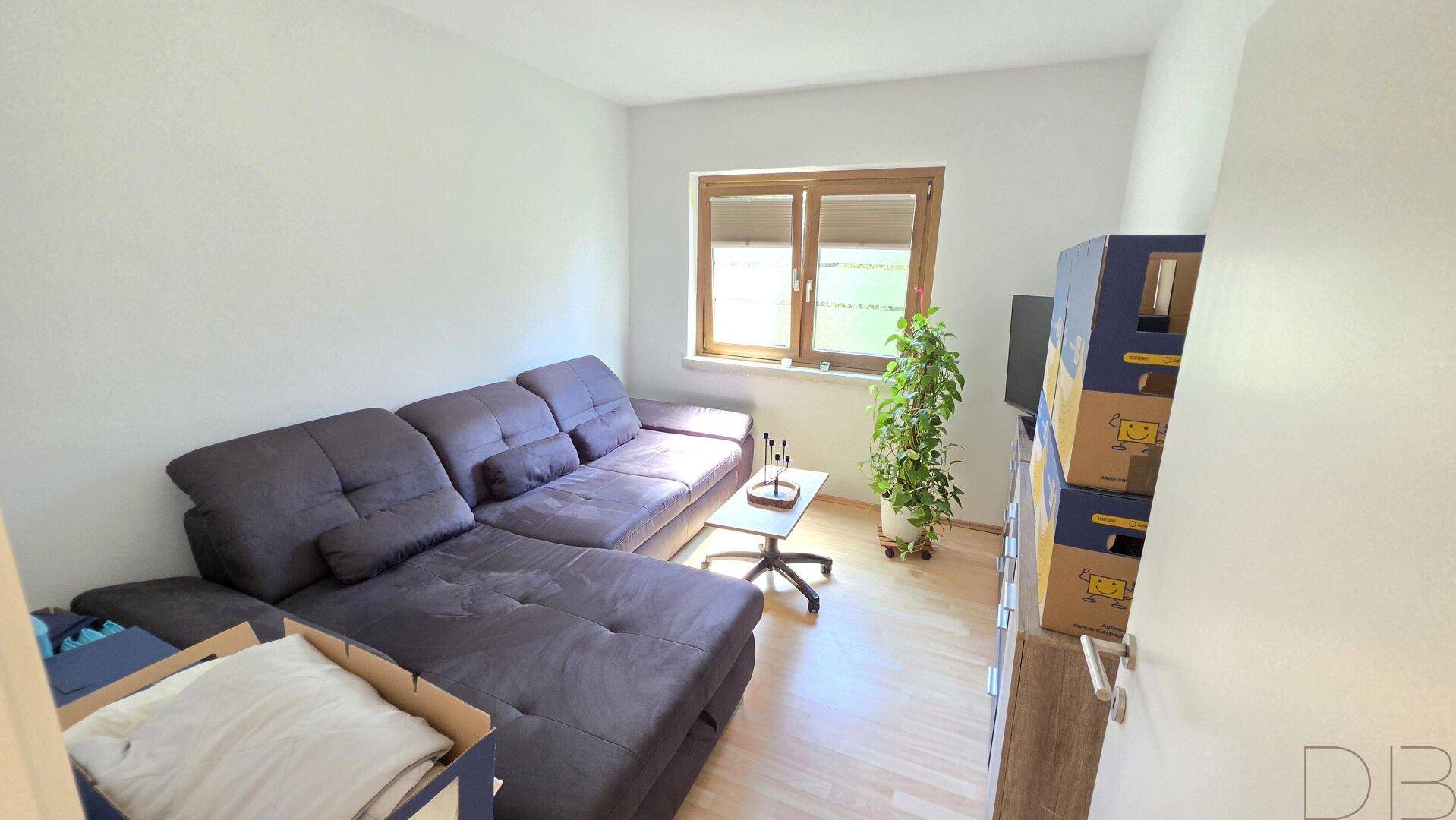 Gemütliches Zimmer mit Sofa, Pflanzen und natürlichem Lichteinfall durch das Fenster.