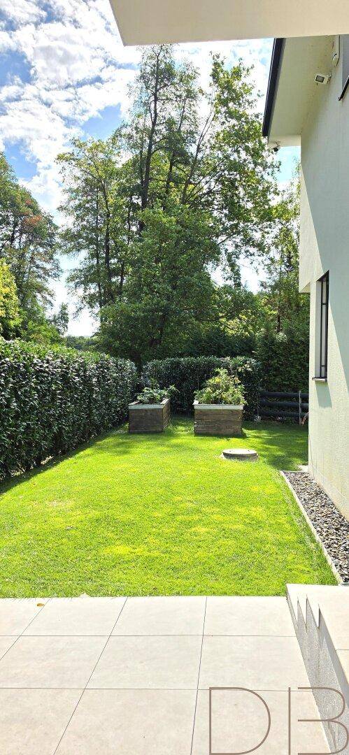 Gepflegter Gartenbereich mit Rasenfläche, hohen Hecken und einer sonnigen Terrasse.