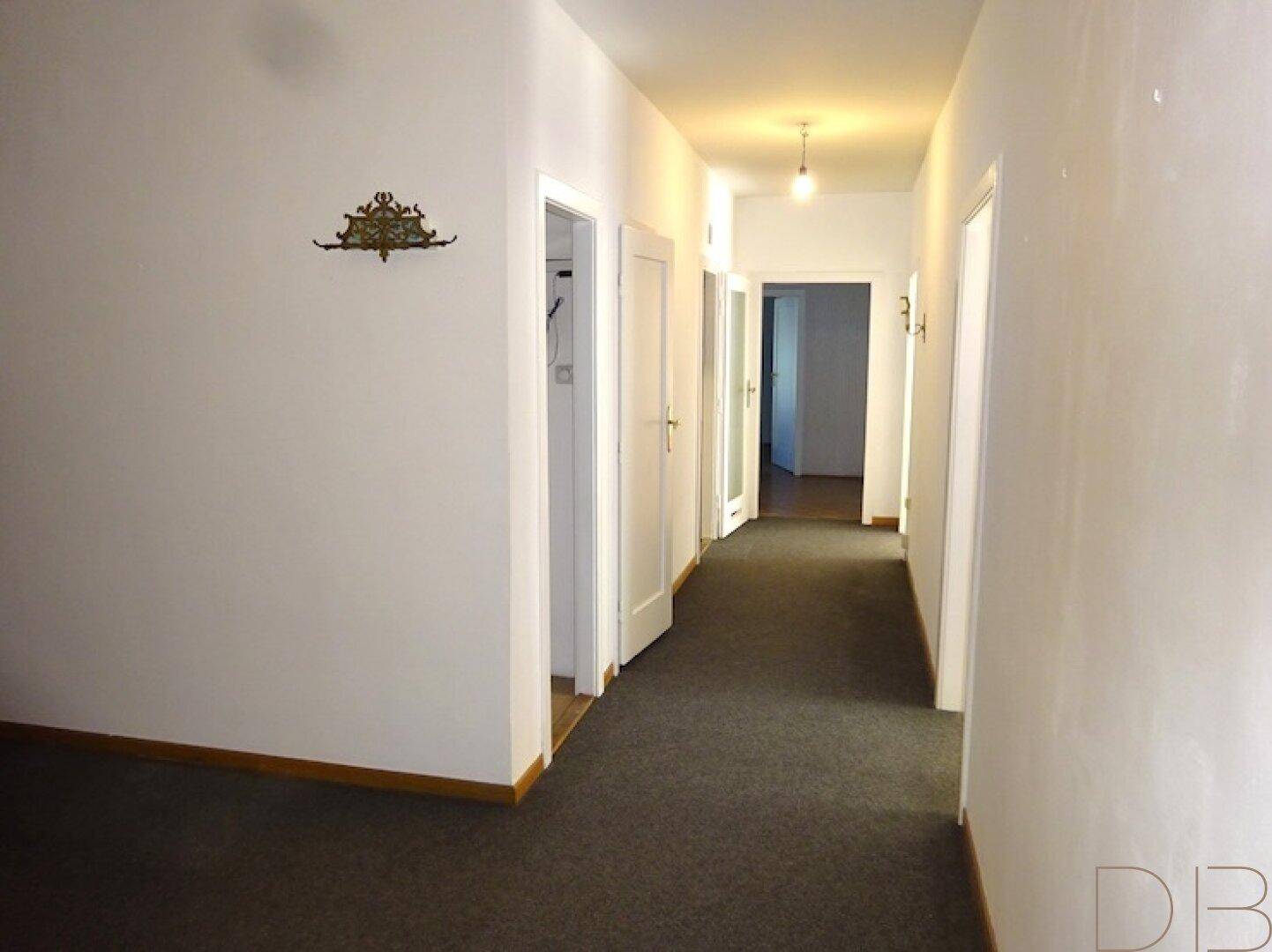 Langer Flur mit Teppichboden und mehreren Türen, der zu verschiedenen Räumen führt.