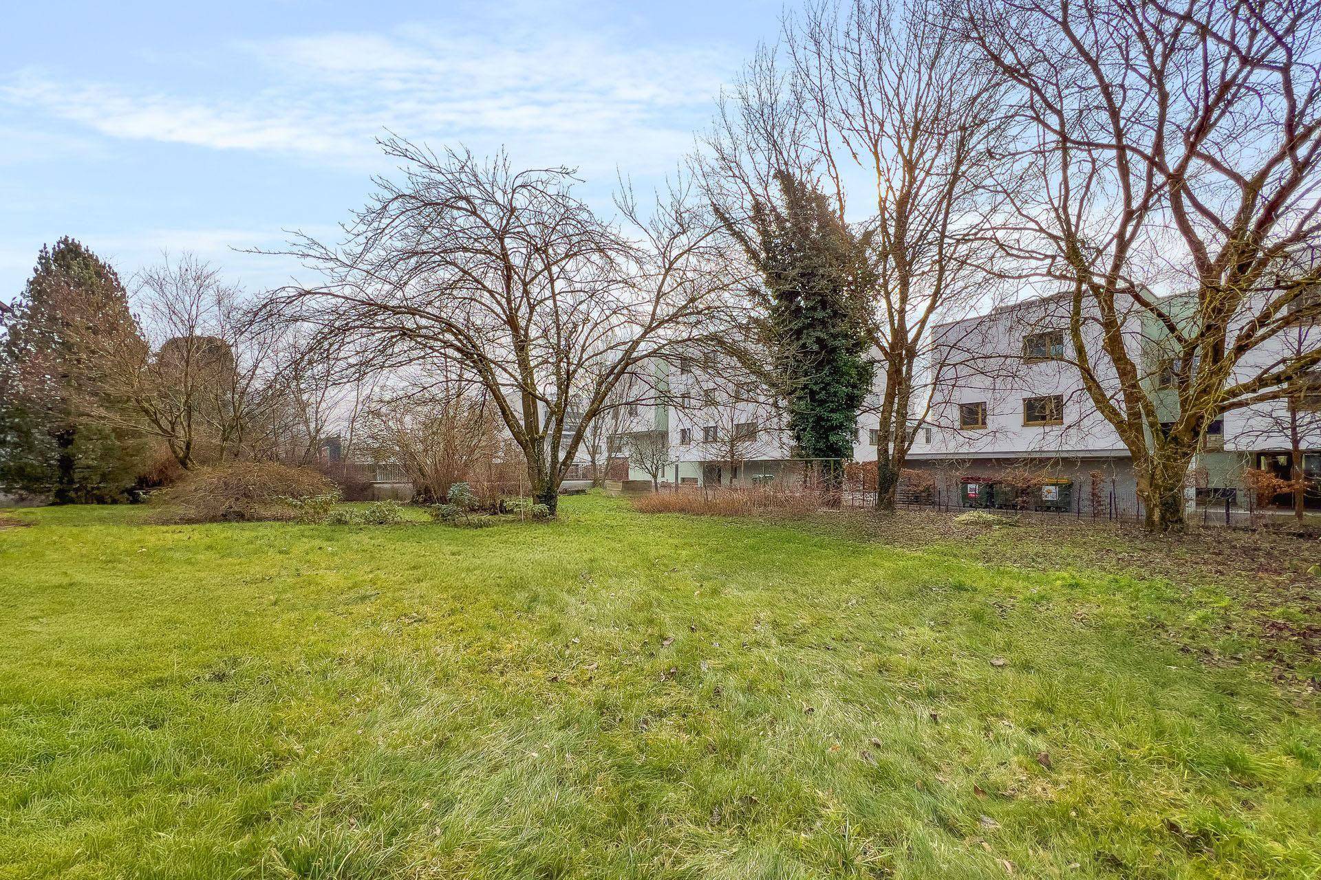 Große grüne Gartenfläche mit Rasen und altem Baumbestand, umgeben von modernen Gebäuden.