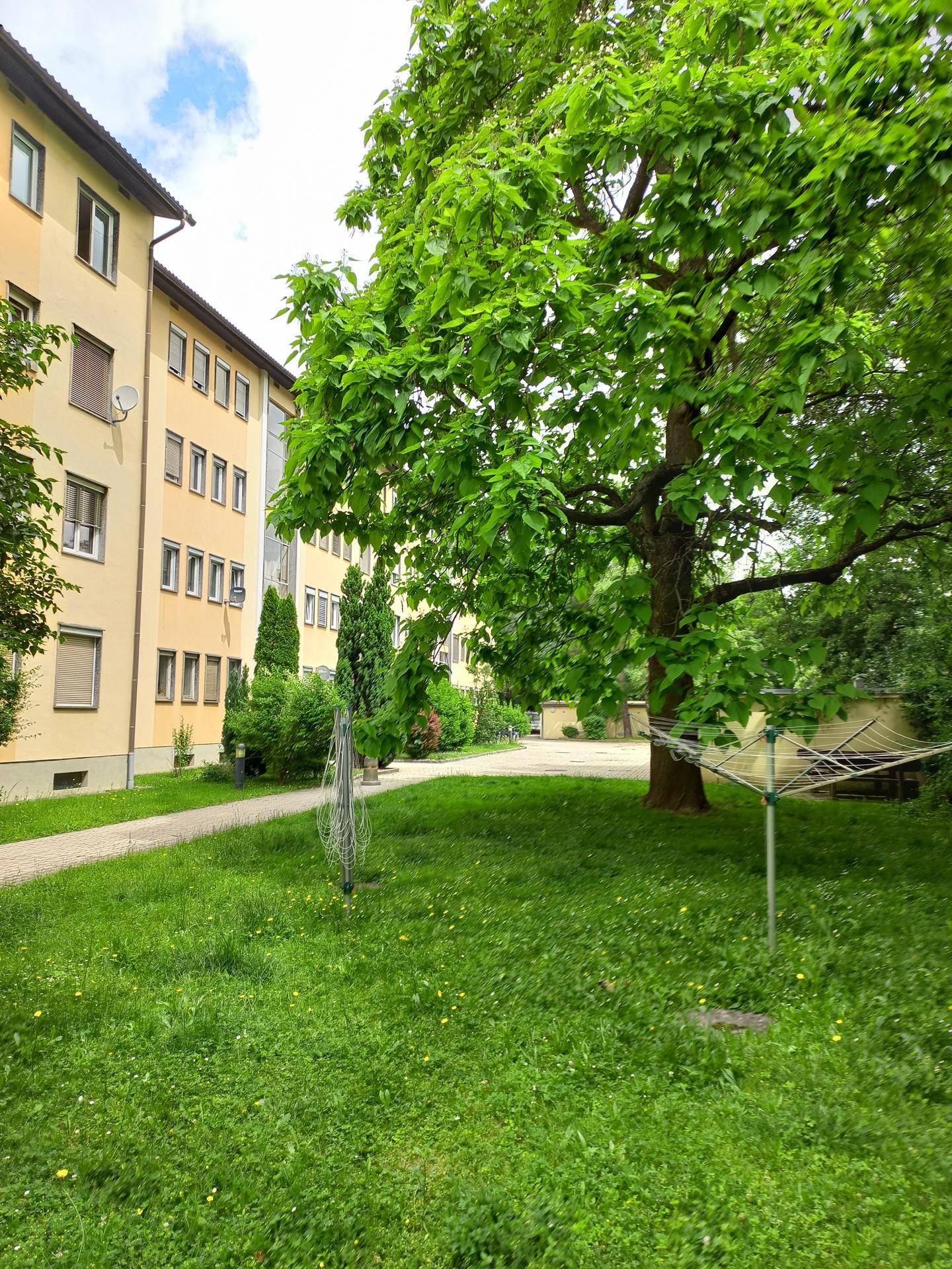 Slide 8