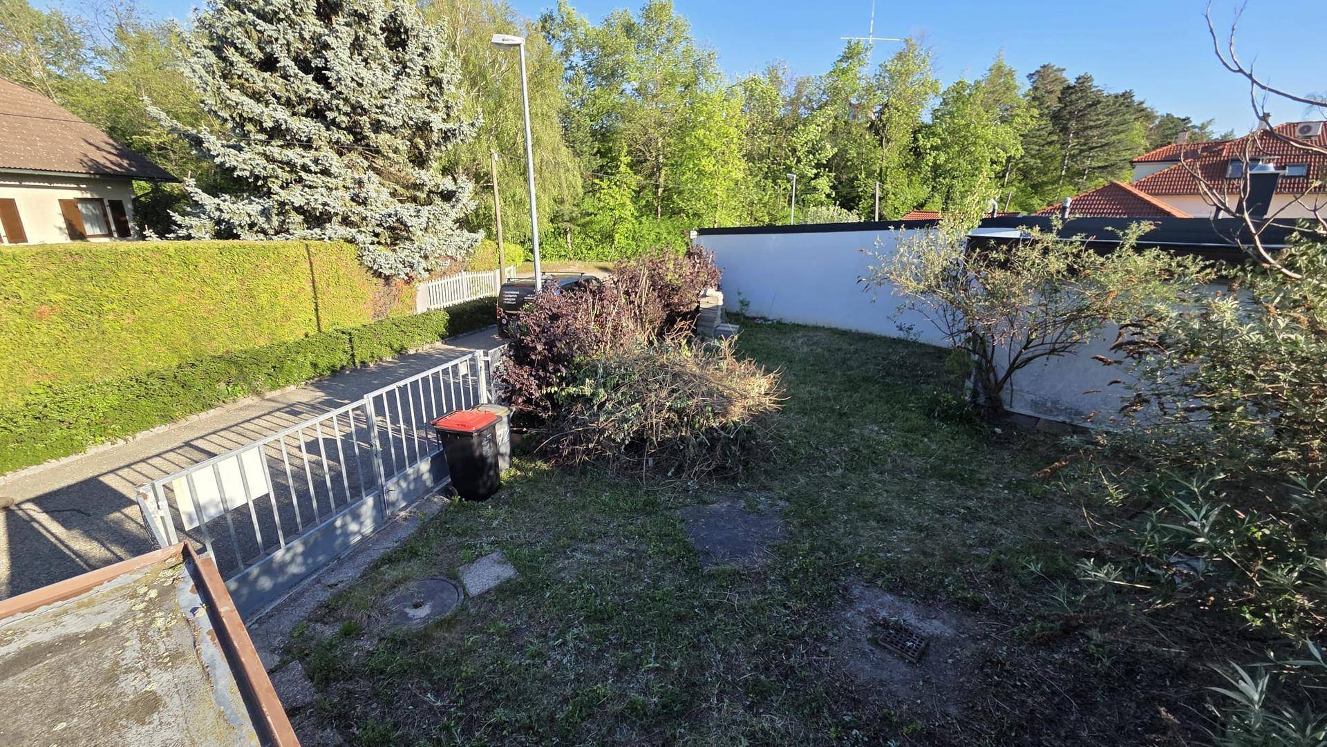 Außenbereich mit ungepflegtem Garten, angrenzendem Gehweg und hohen Bäumen im Hintergrund.