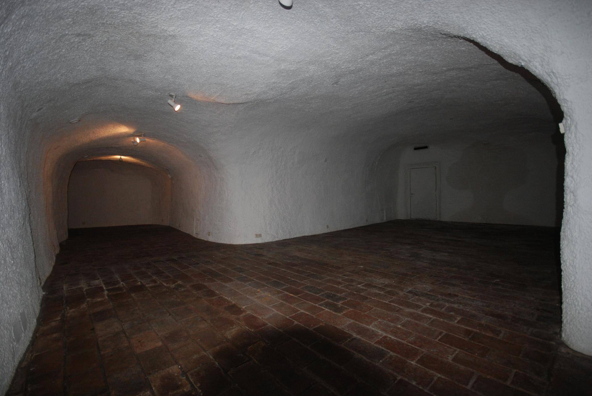 Großer, leerer Kellerraum mit gewölbten Decken und rustikalem Ziegelboden, beleuchtet von Spotlights.