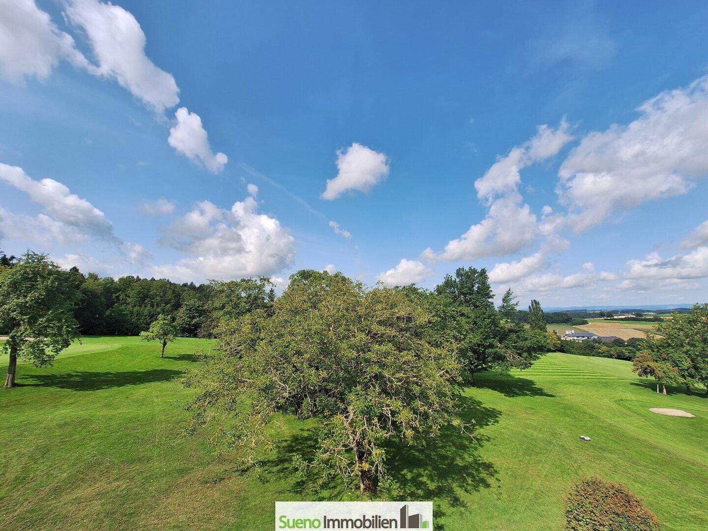 Malerischer Blick auf den Golfplatz mit alten Bäumen und grünen Fairways.