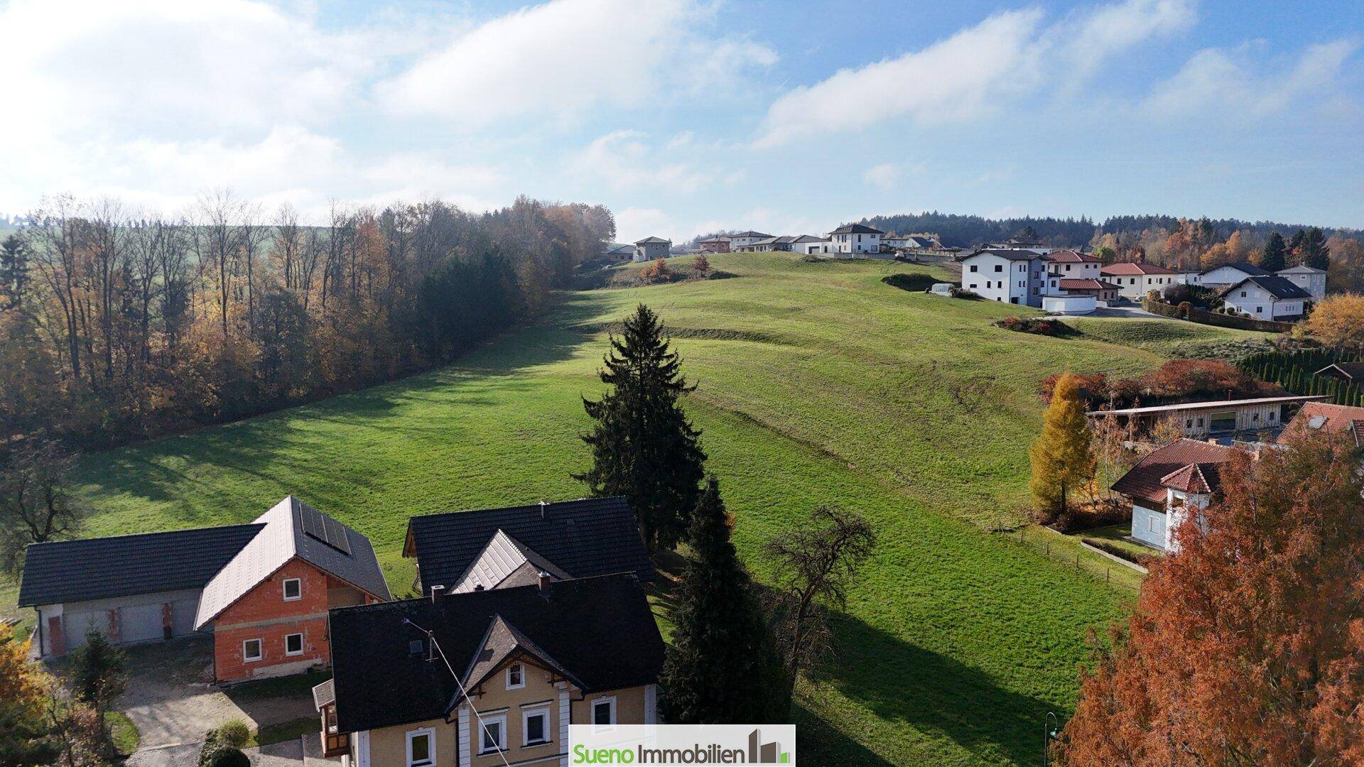 Weitläufige grüne Landschaft mit vereinzelten Häusern und Bäumen unter blauem Himmel.