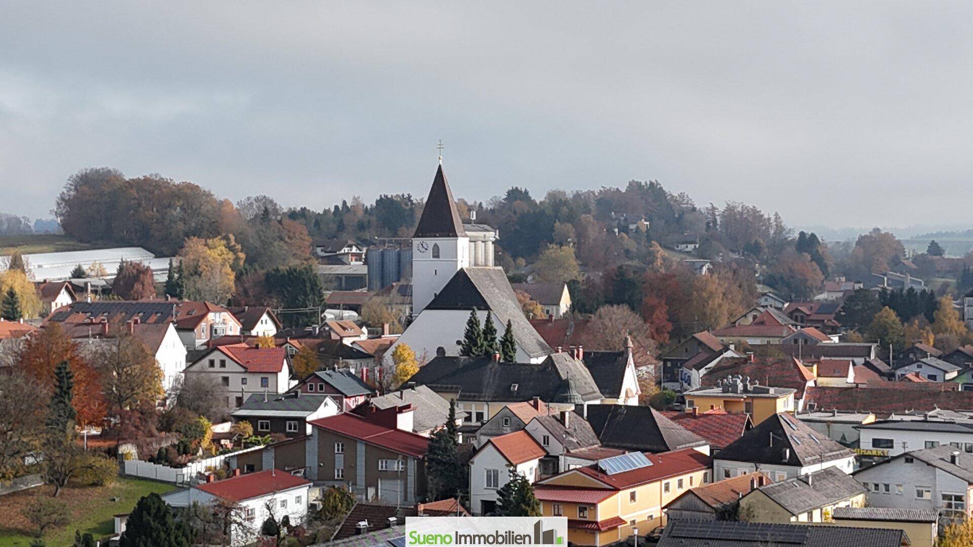 Weitläufiger Blick auf eine ländliche Stadt mit Kirche und umliegender Natur.