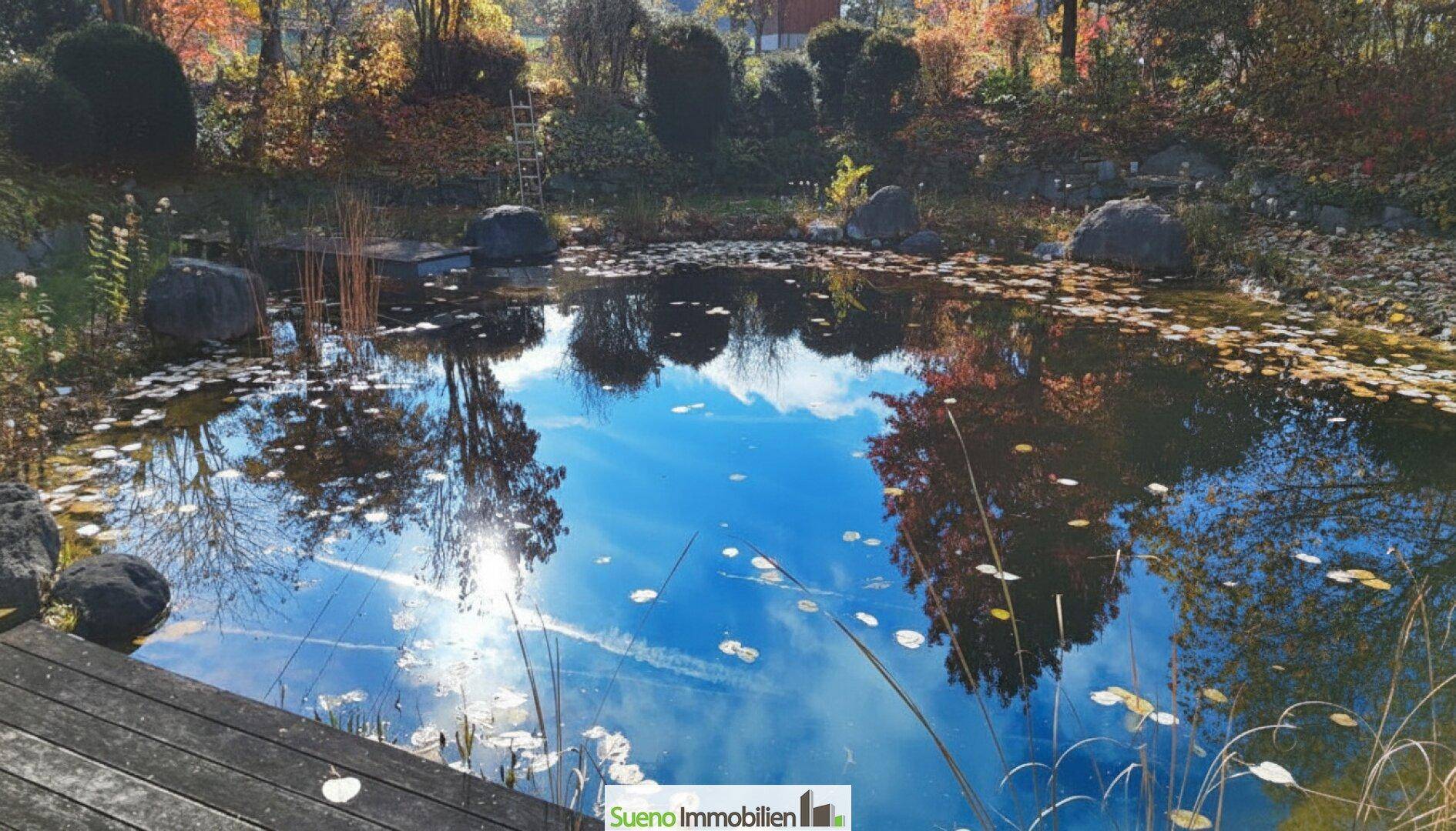 Malerischer Schwimmteich im Herbst mit Spiegelungen des Himmels und bunten Blättern auf der Wasseroberfläche.