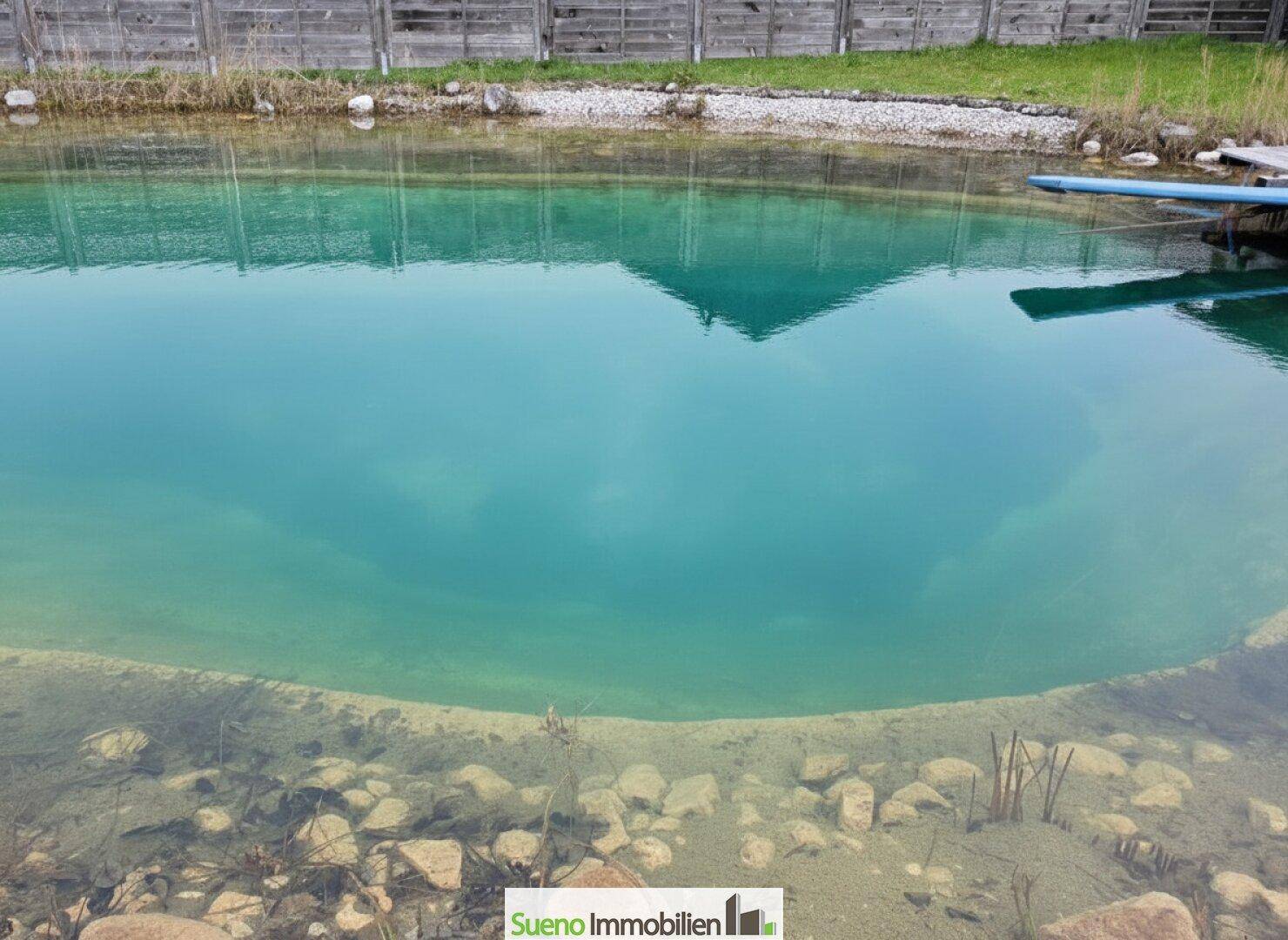 Nahaufnahme eines klaren Teiches mit sichtbaren Steinen am Grund und grüner Uferbepflanzung.