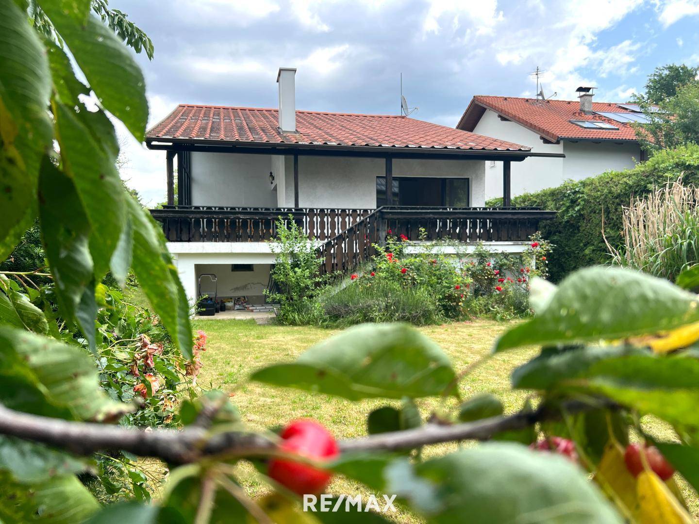 Gartenansicht unterm Kirschbaum...