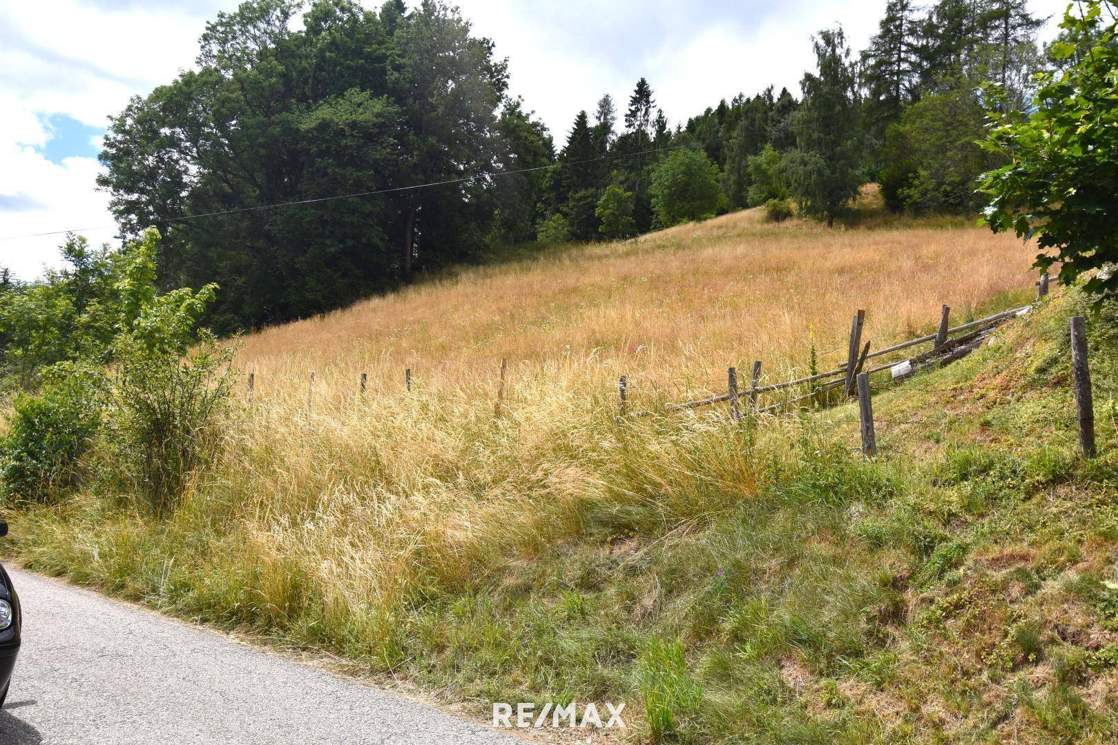 Zufahrtstraße mit Blick aufs Grundstück