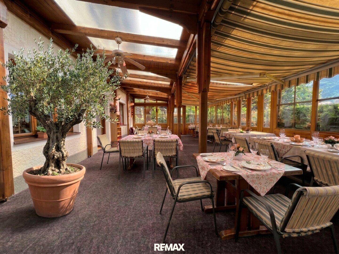Heller Wintergarten mit vielen Fenstern, Esstischen und einem Olivenbaum, ideal für gesellige Runden.