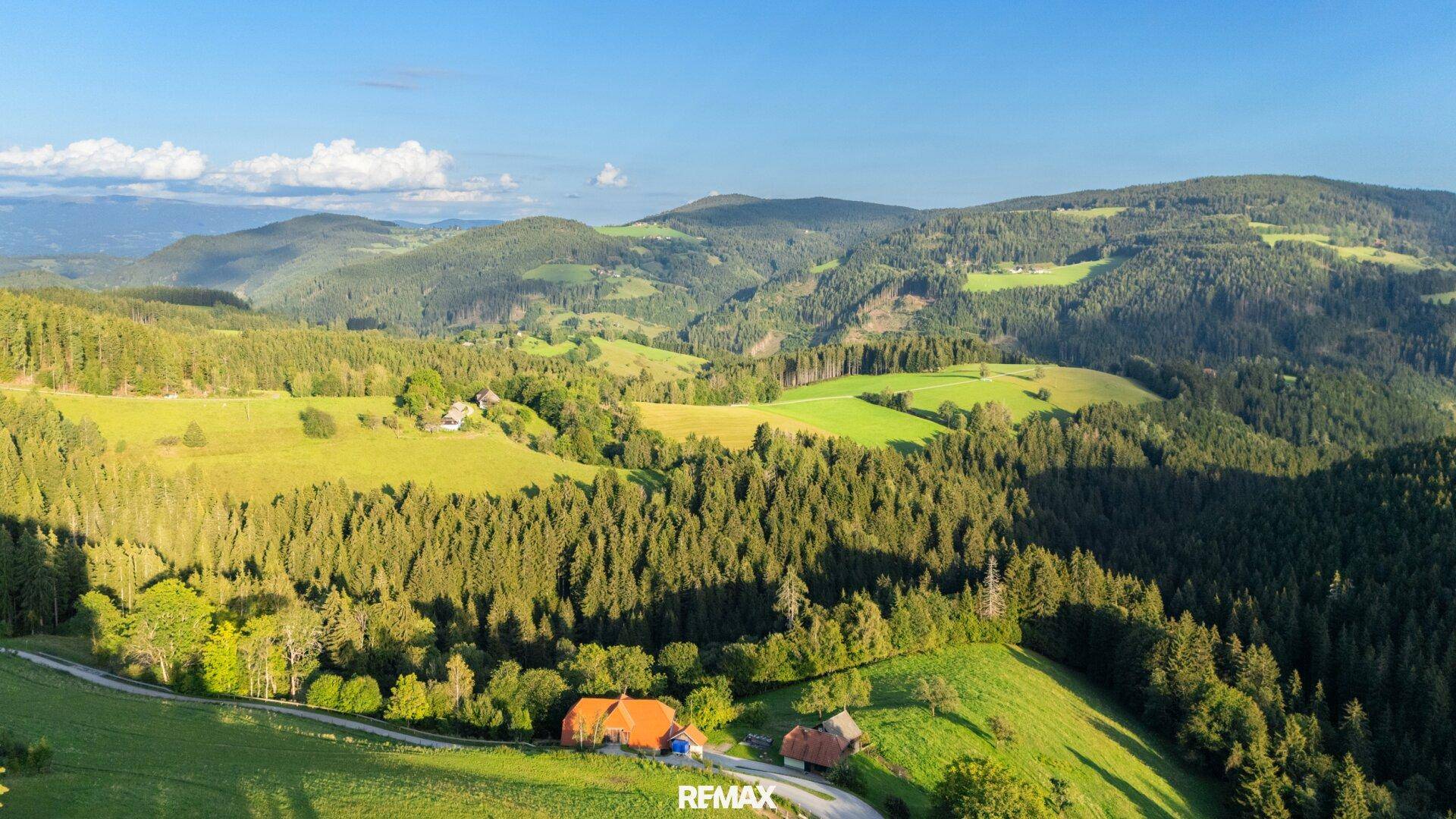 Weitläufige Luftaufnahme einer grünen, bewaldeten Hügellandschaft mit vereinzelten Gebäuden in der Ferne.