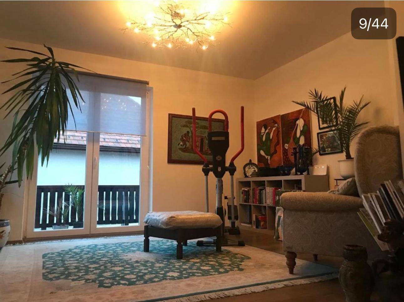 Helles Wohnzimmer mit Zugang zum Balkon, Trainingsgerät und vielen Zimmerpflanzen.