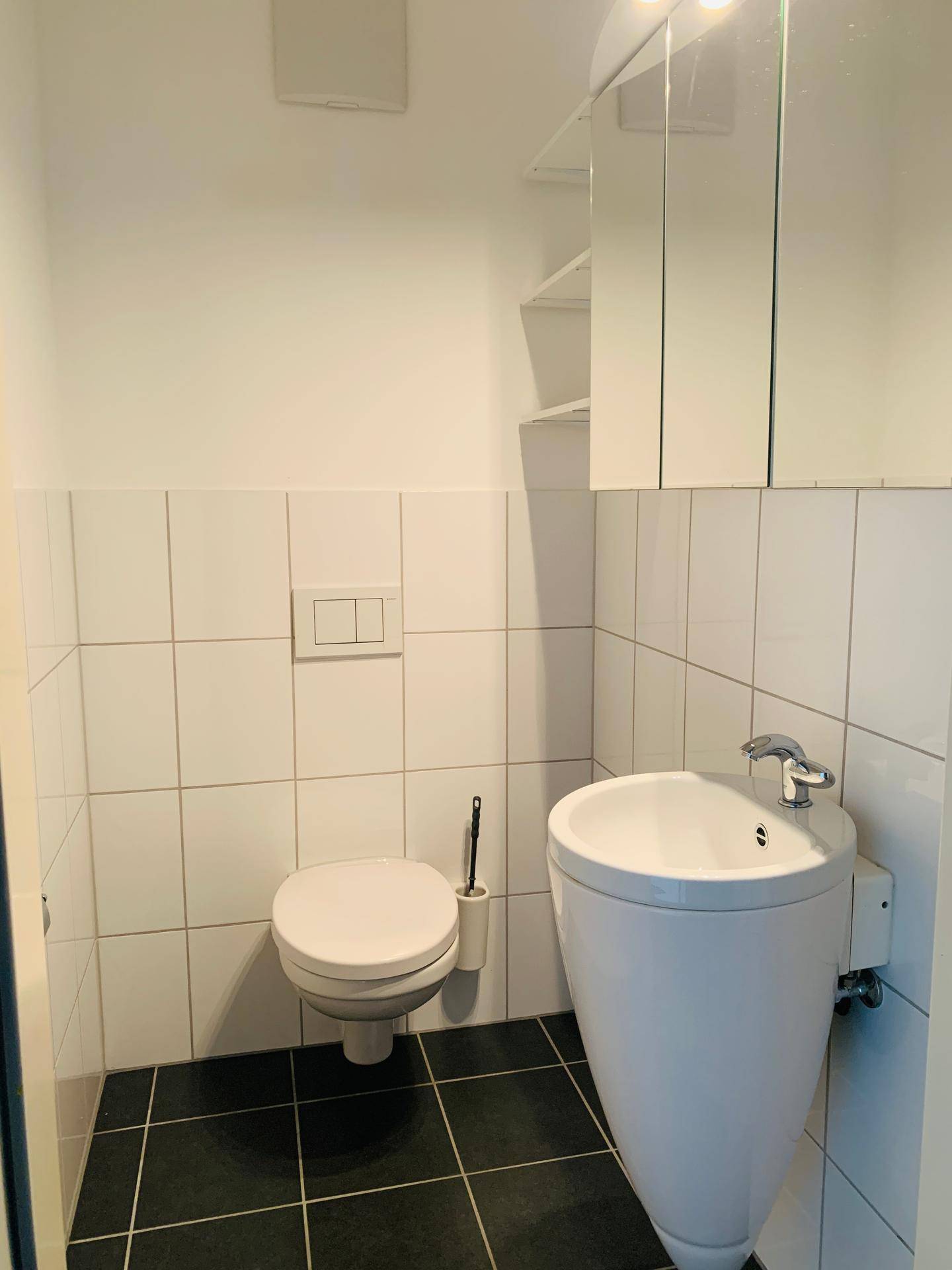 Kleines Gäste-WC mit modernen Fliesen, wandhängendem WC und stilvollem Waschbecken.